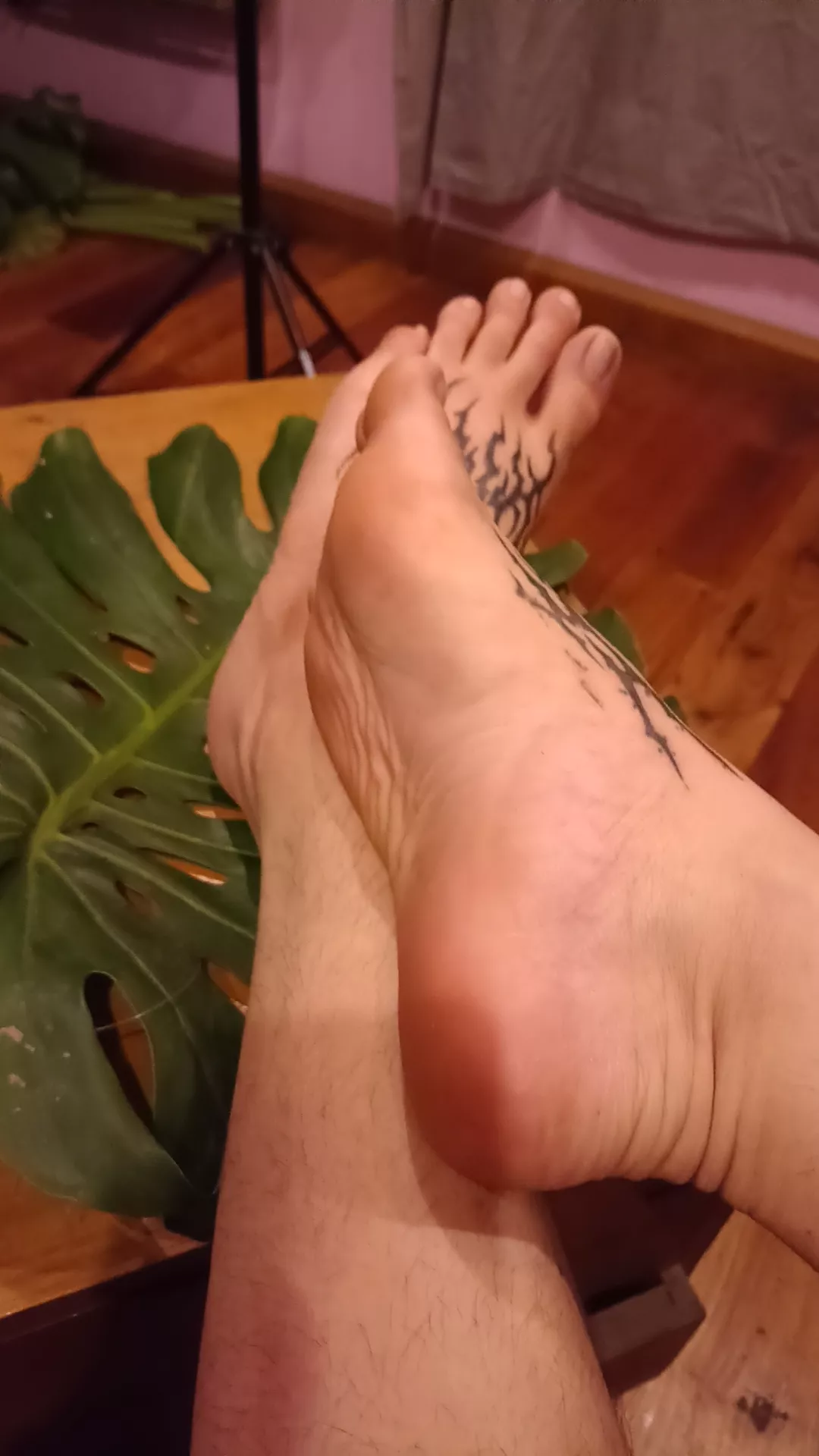 I love my tattooed feet ðŸ¤¤ It really hurts and I need kisses ðŸ‘‰ðŸ‘ˆðŸ¥º