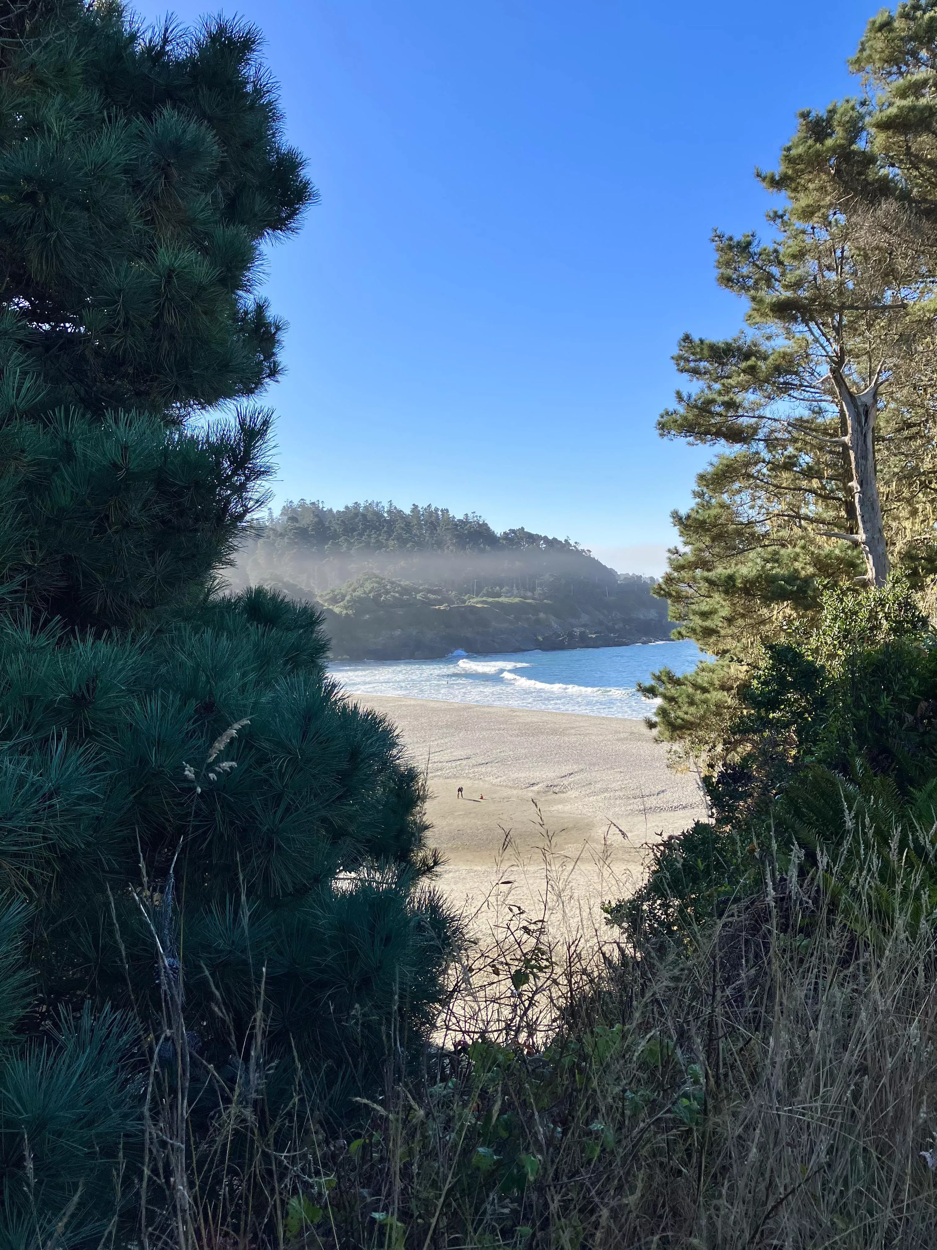 Mendocino, CA. A little sand, a little rocky cliff, some trees, some fog, some blue sky, a lot of water. Perfect.