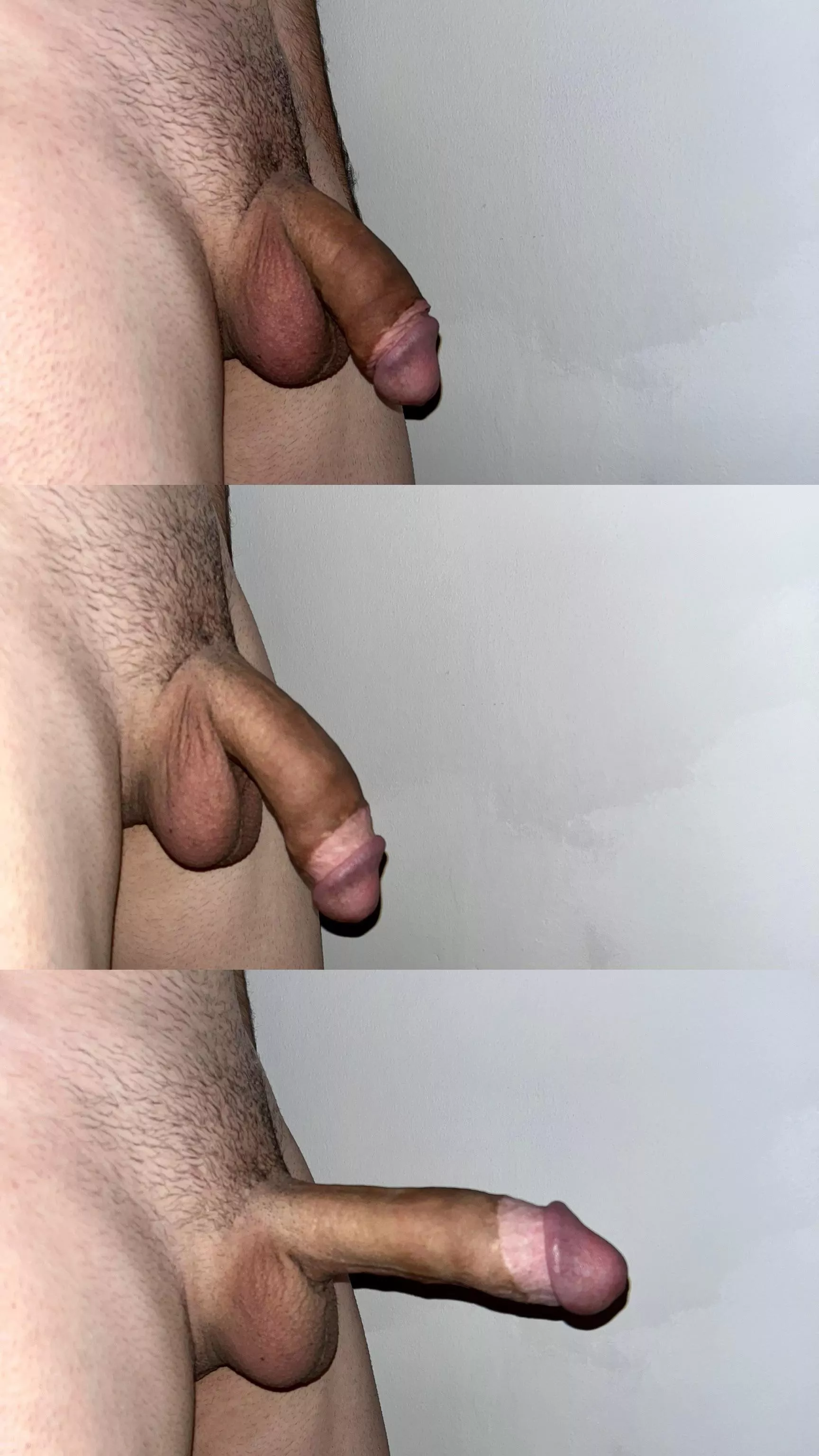 Soft, semi or hard? (Open for full image)