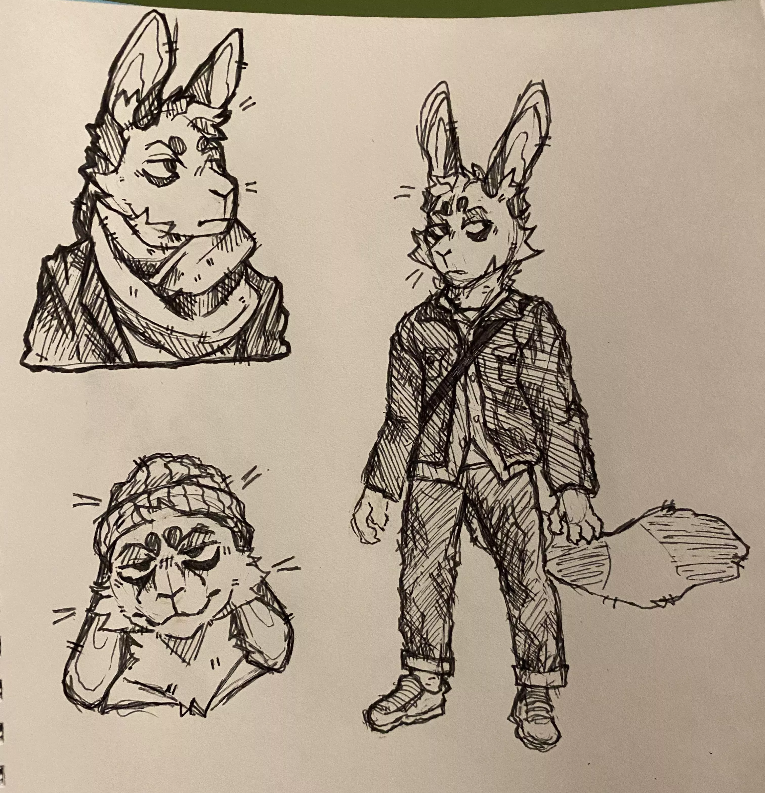 Tried drawing my sona in something other than a hoodie, the full body proportions are wonky