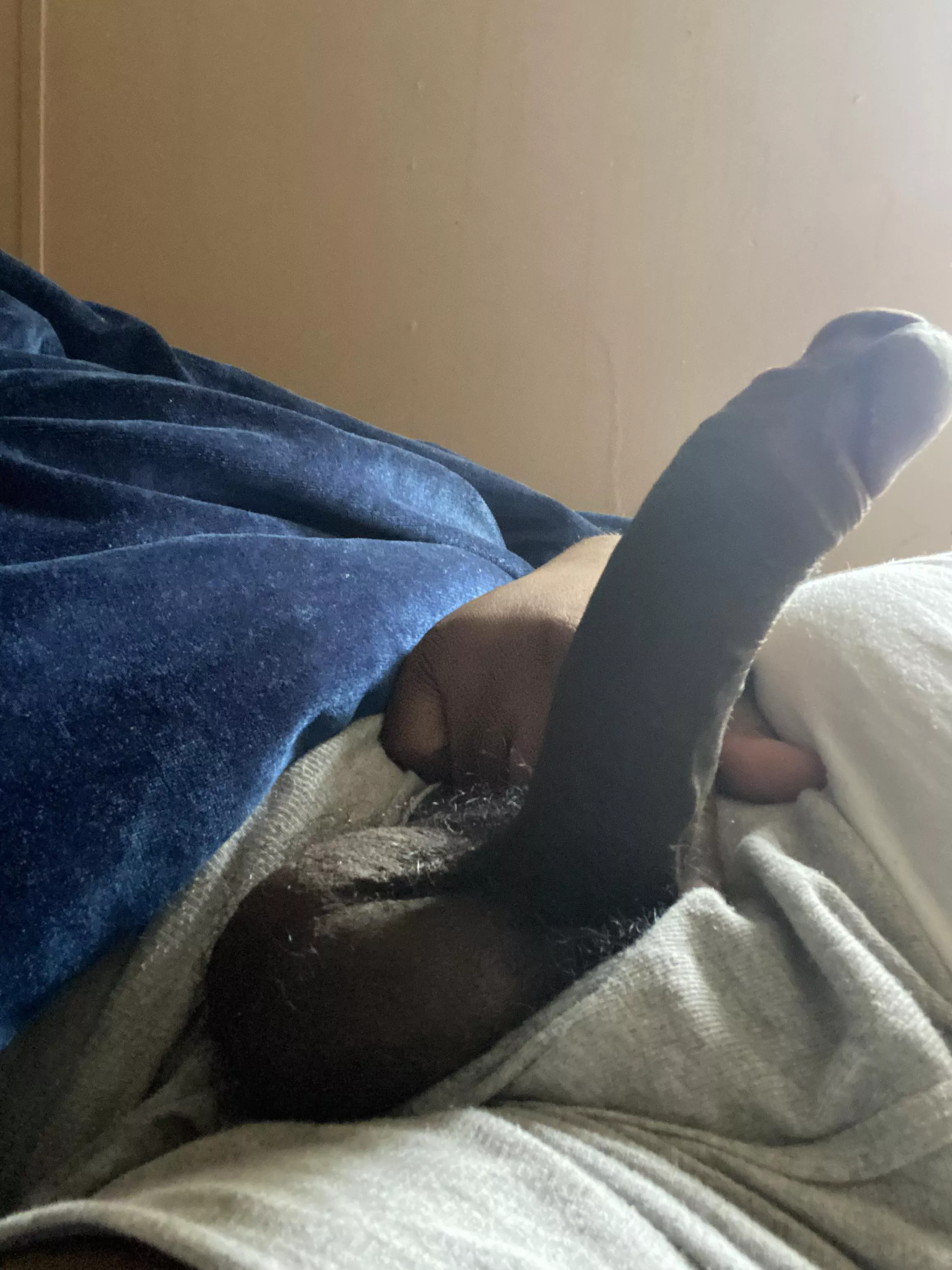 Who wants morning wood?