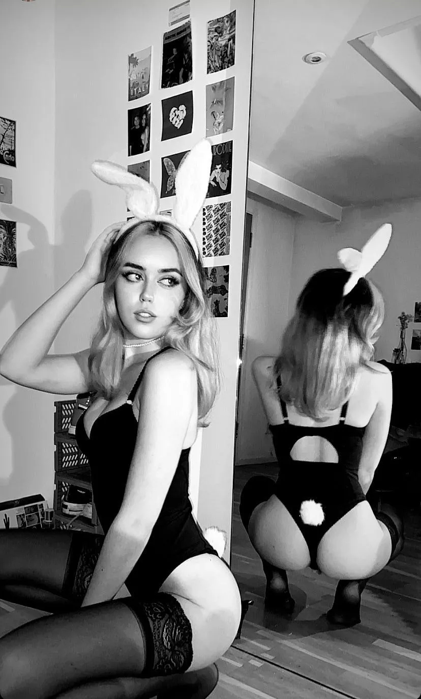 ðŸ°