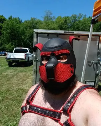 arrf arff pup got to help make his harness....