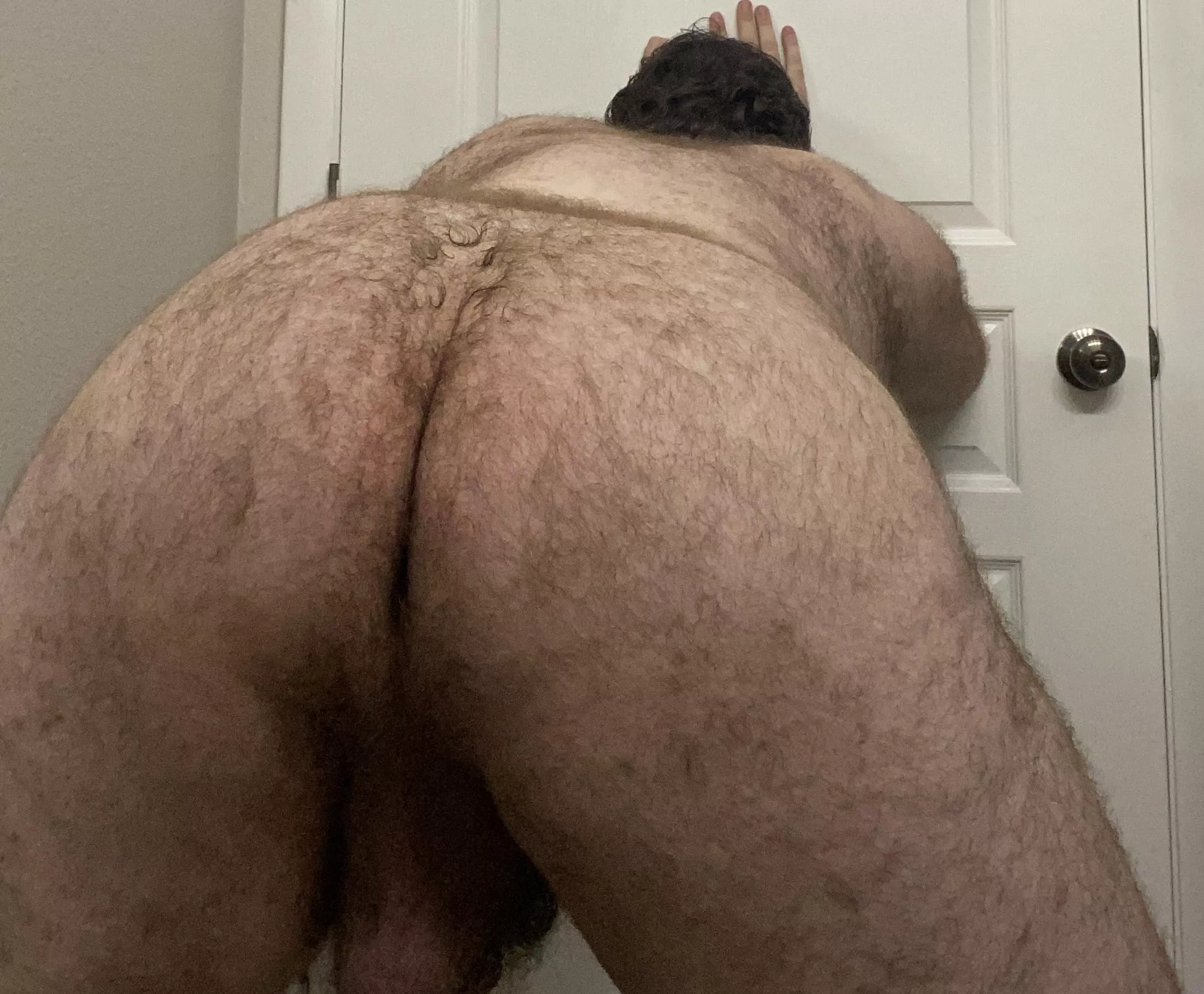 Breed my hairy ass