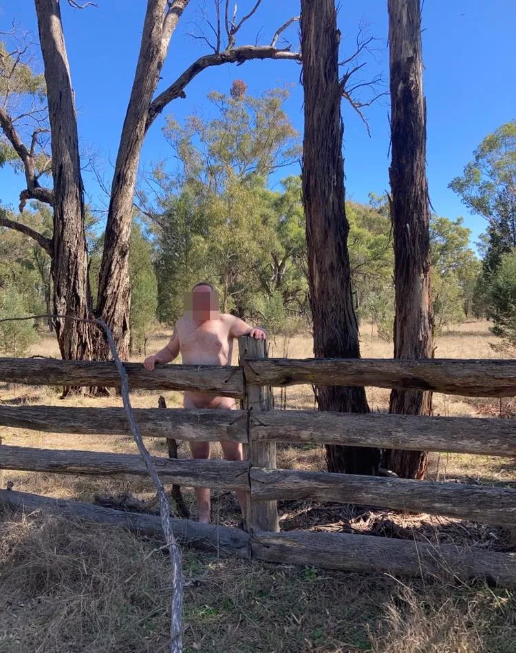 Enjoying the day on the other side of the fence