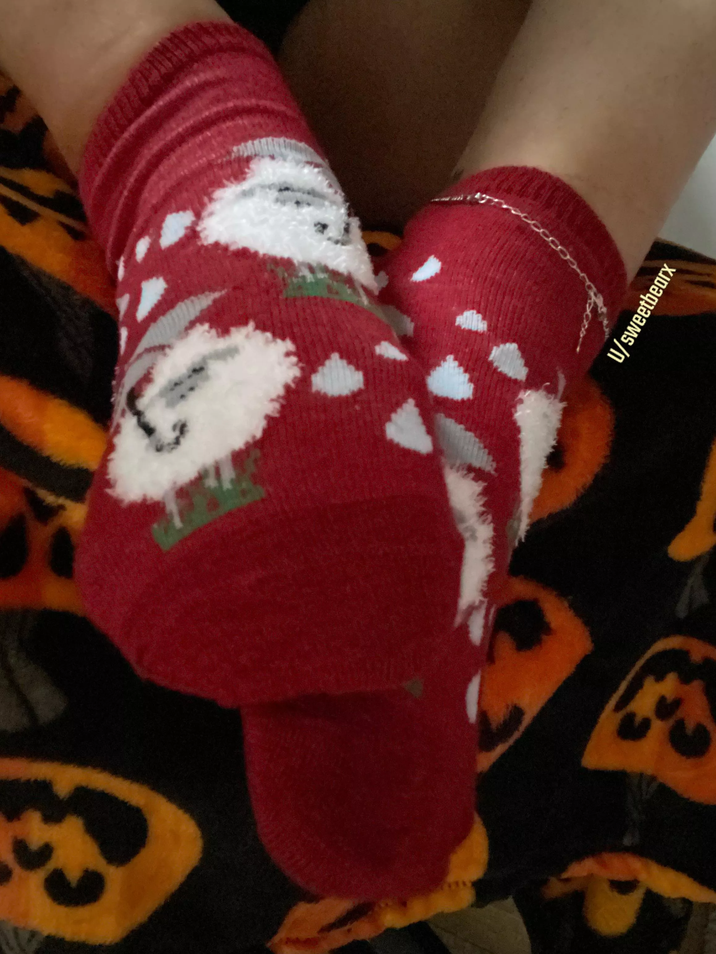 [f] My Cosy sheep socks 🥰