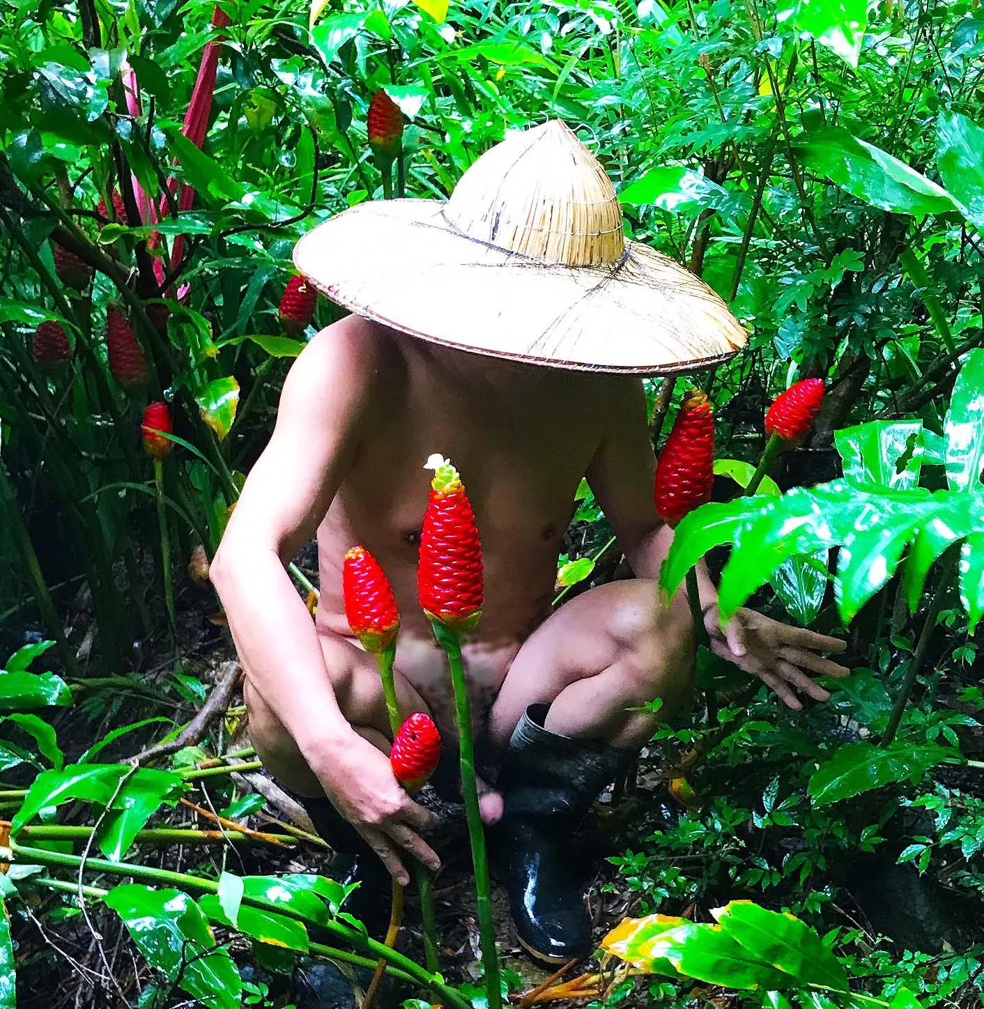 Get some flower stalks in a raining day