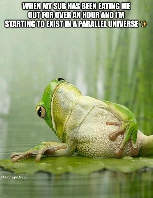 Reincarnated as a frog, apparently ðŸ¤£ðŸ§˜â€â™€ï¸ðŸ˜Œâ¤ï¸