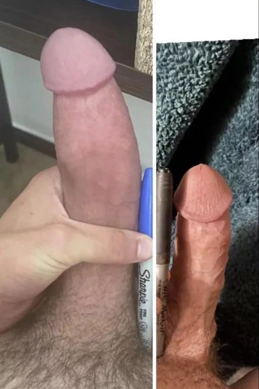 Two cocks next to a sharpie