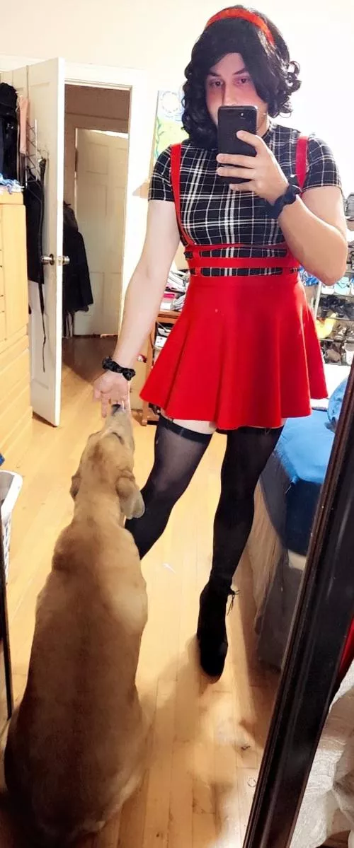 A big Potato/Pupper decided she wanted to come give me advice on my outfitðŸ¶â¤