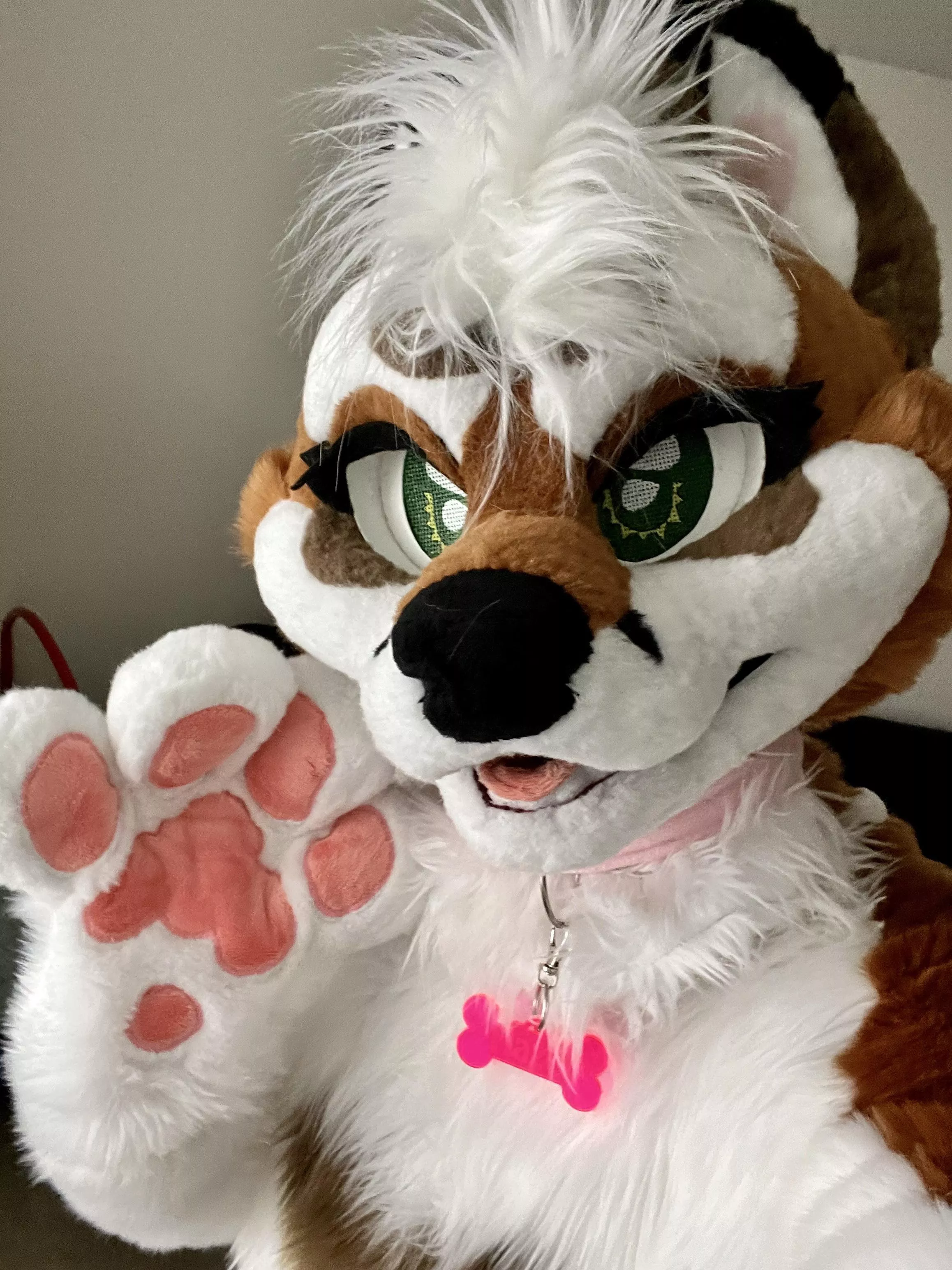 Fursuit Friyay