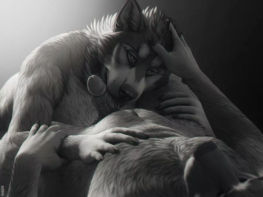 Intimate (kannos)