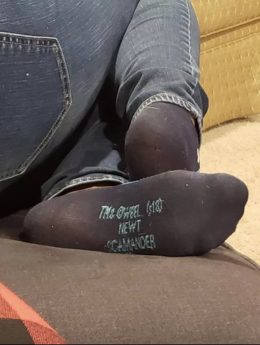 More of my wifeâ€™s socks.