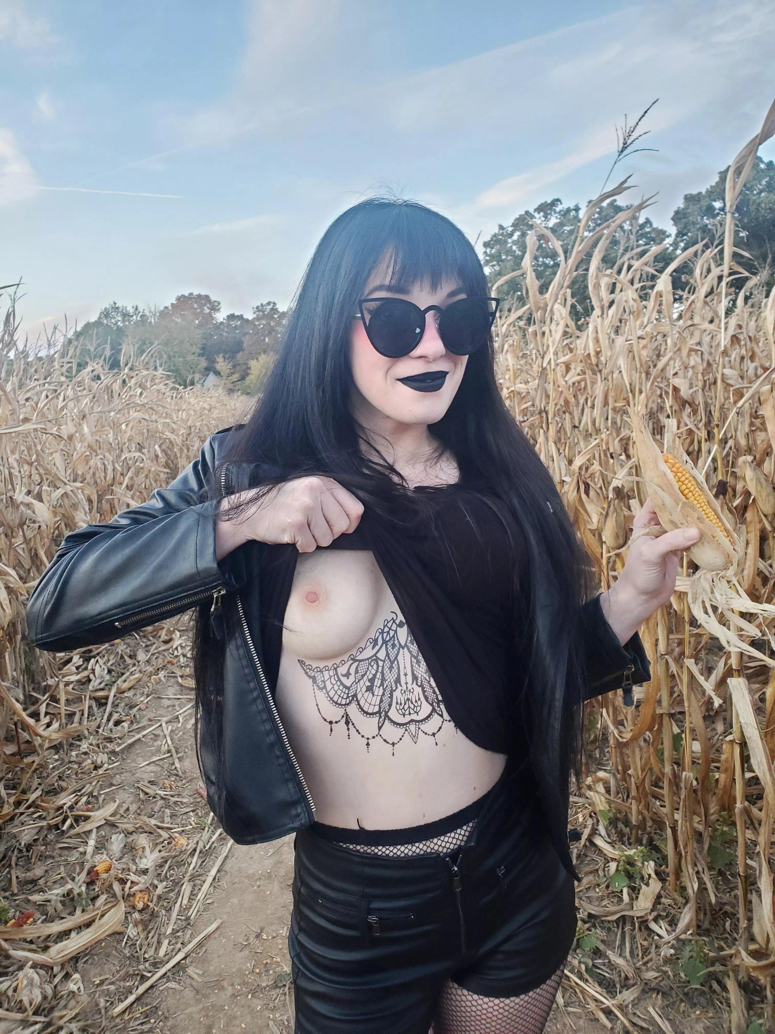 get lost in the cornmaze with me