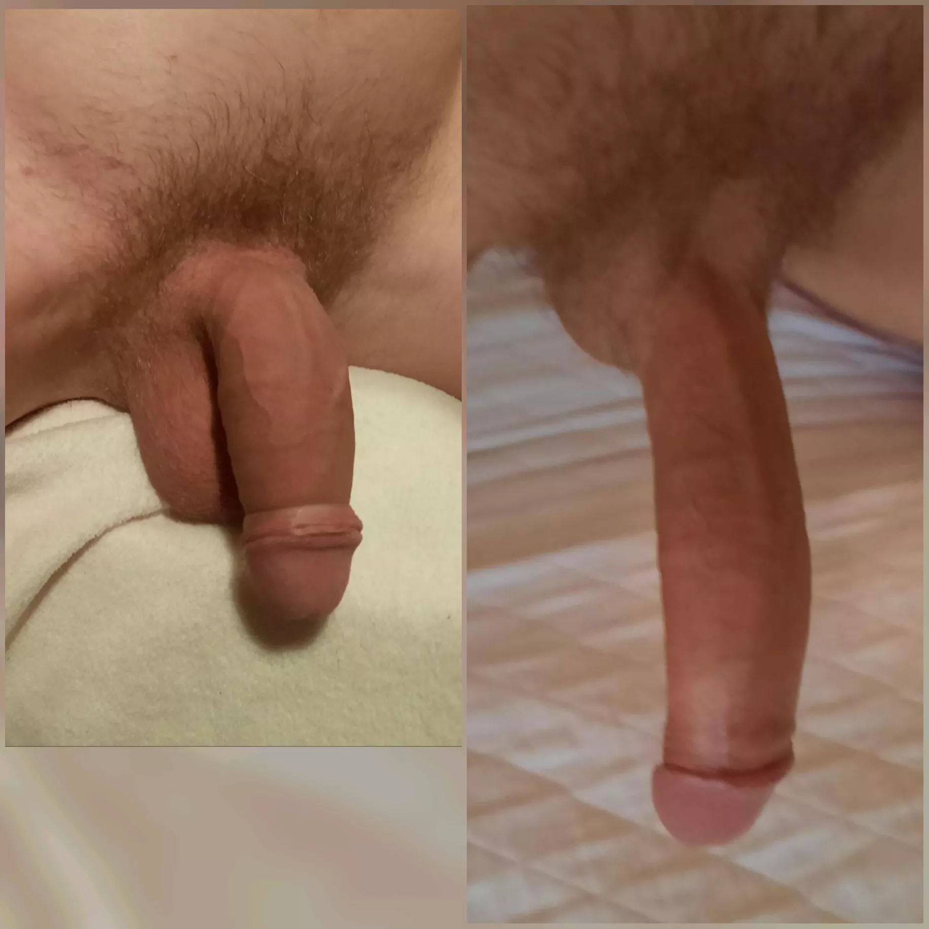 Compared my soft and hard cock