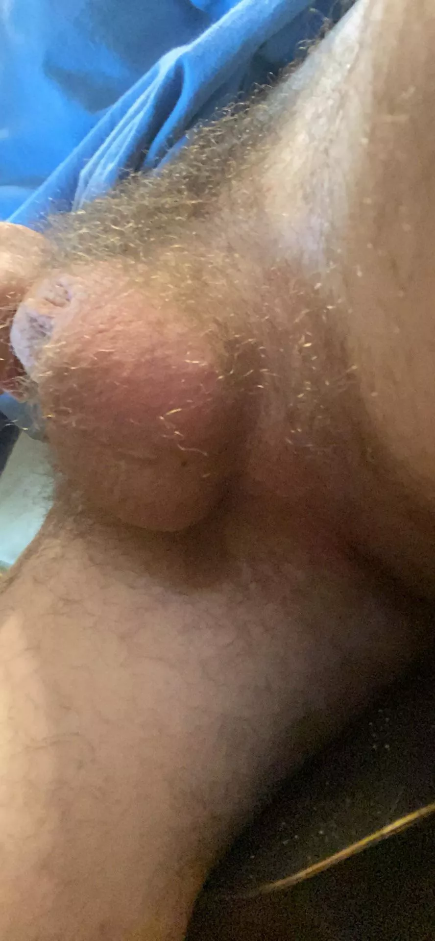 Furry and full. These balls are aching to fill someone up.