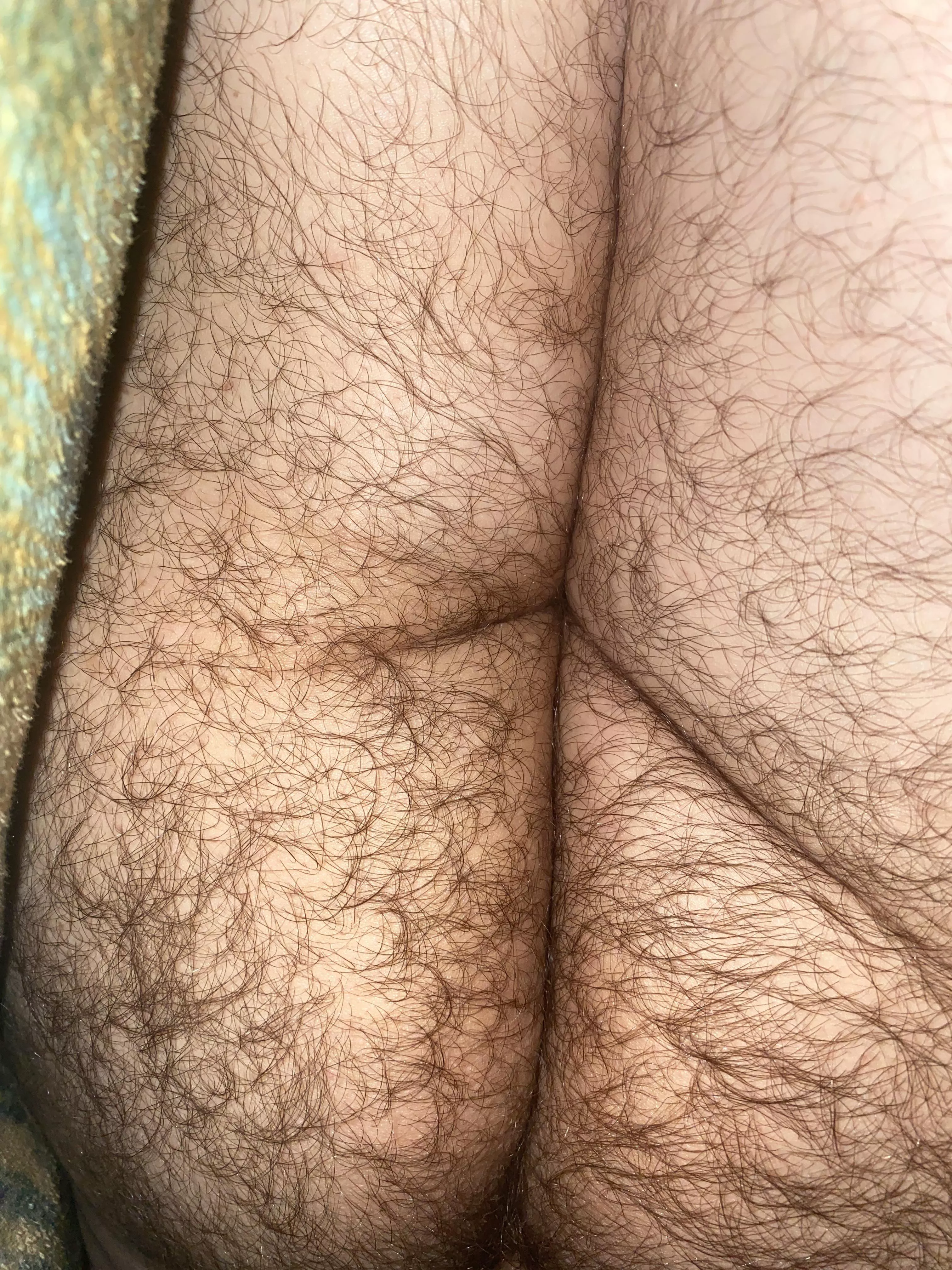 Hairy enough for you?