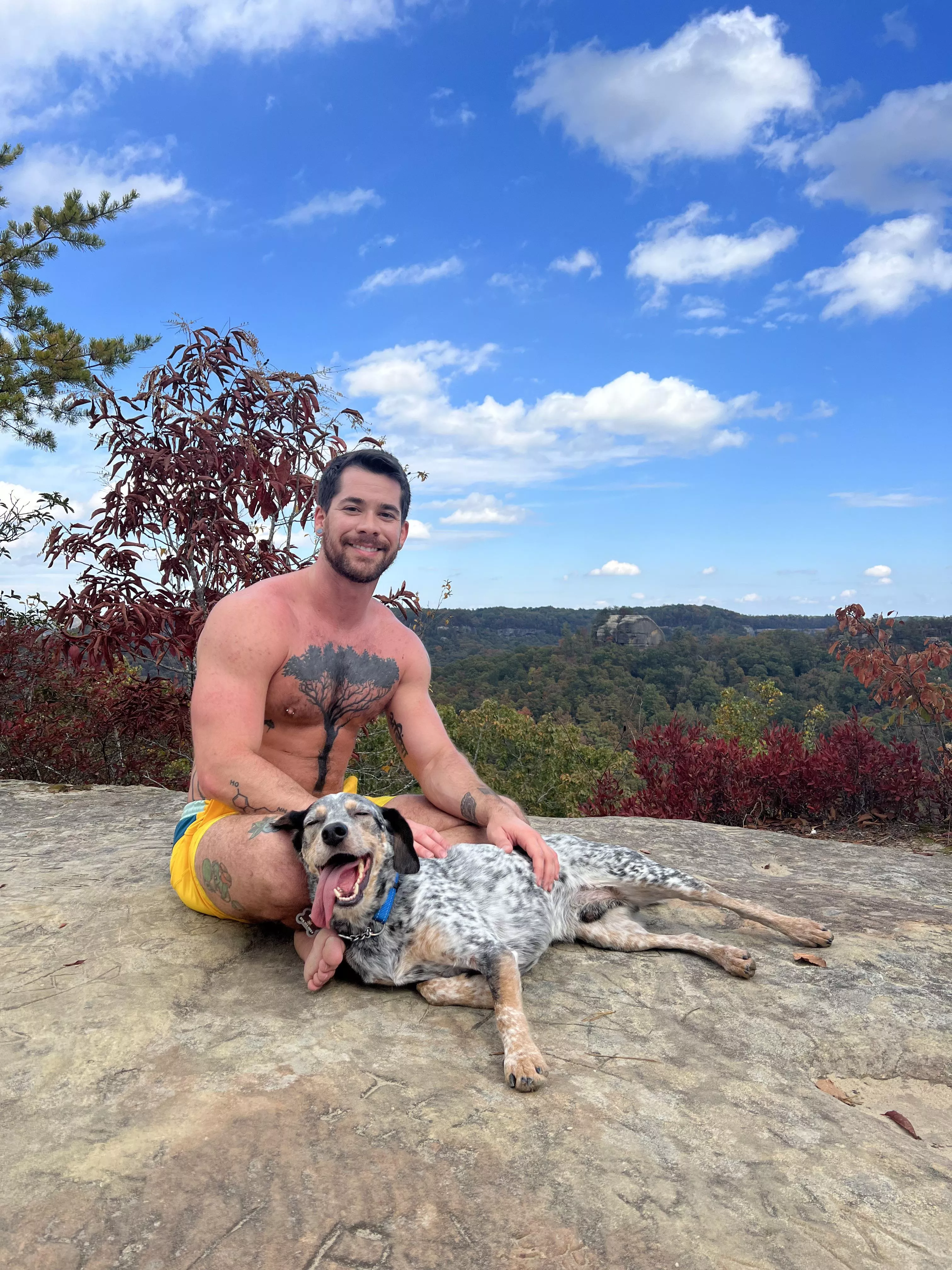 My dog loves hiking