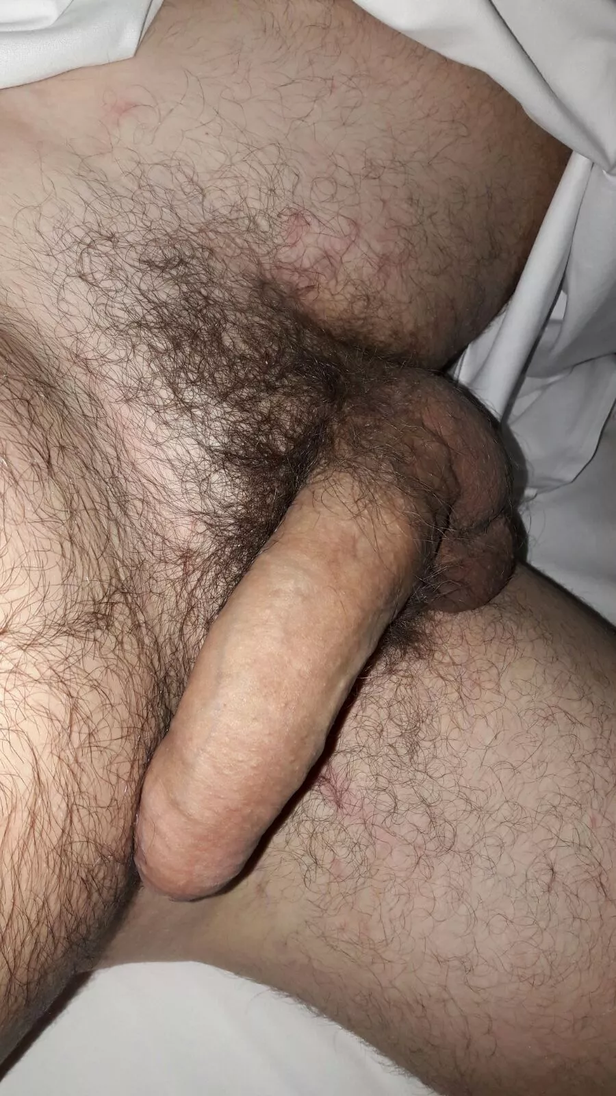 30 Bushy and all natural. Looking for a hairy cock. Empty profile? Send me a pic pls.