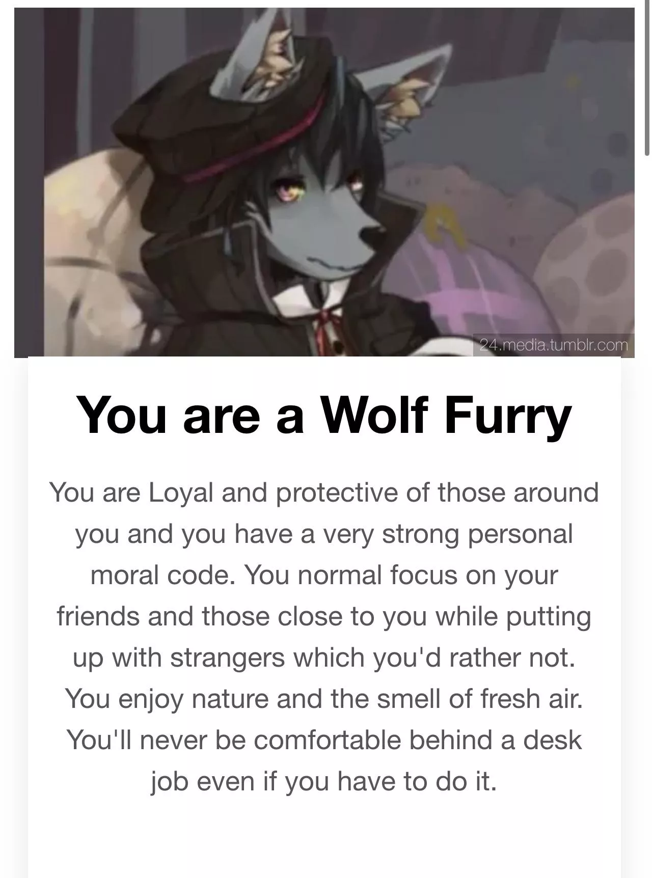 Me: I’m not a furry