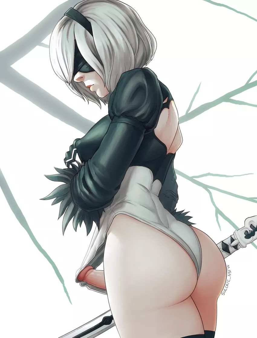 2B has a new modification