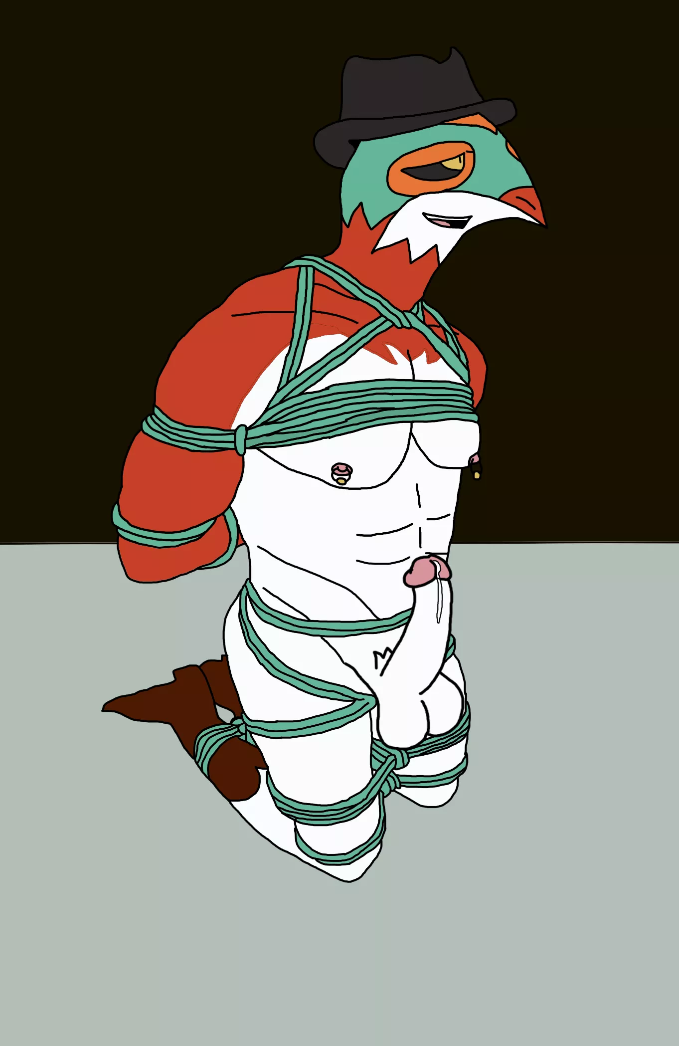 A bound up Hawlucha (HawlFur)