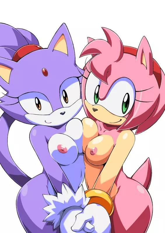 Blaze & Amy are so cute together [FF] (Akuno Toujou)