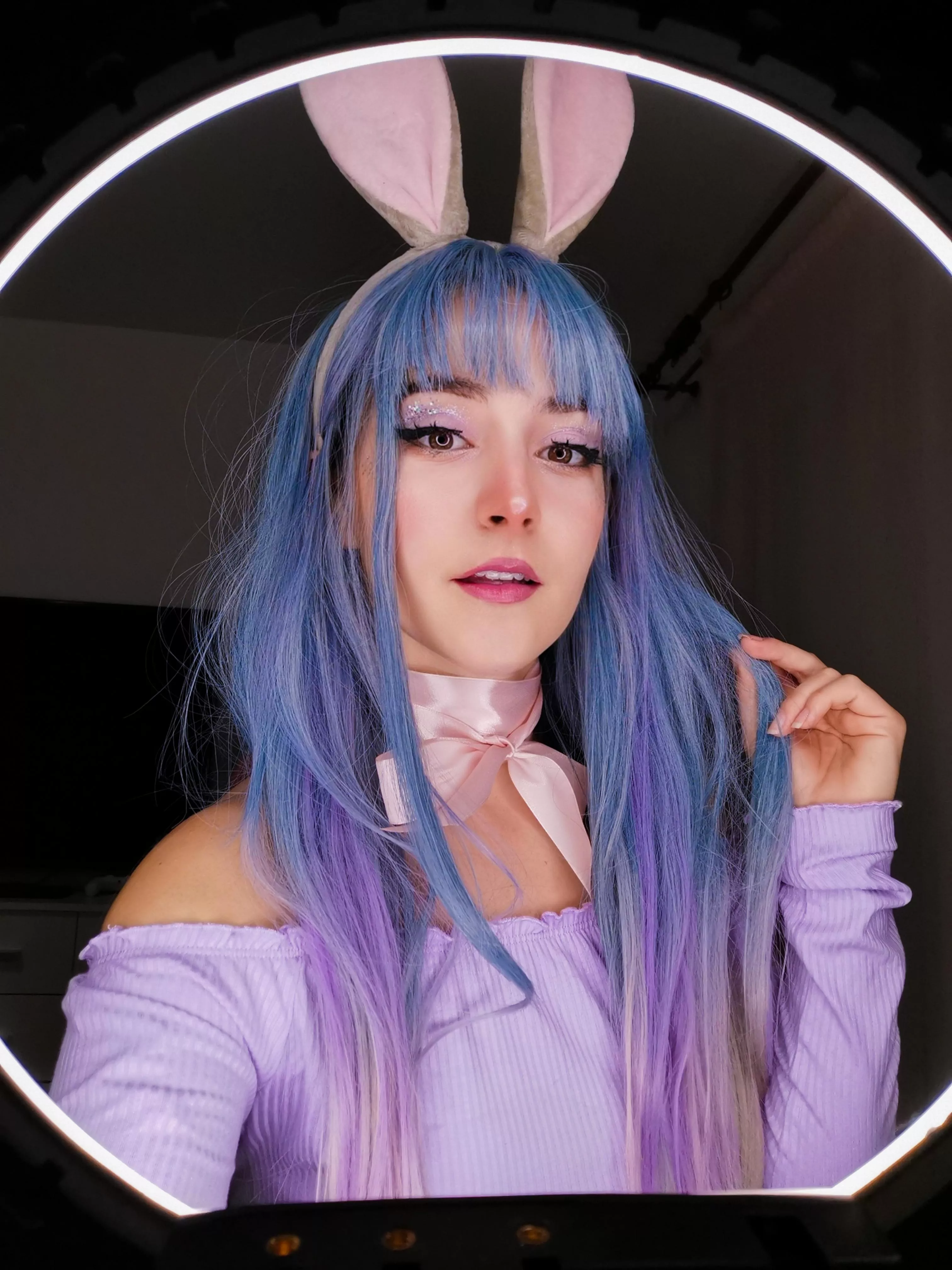 small blue bunny