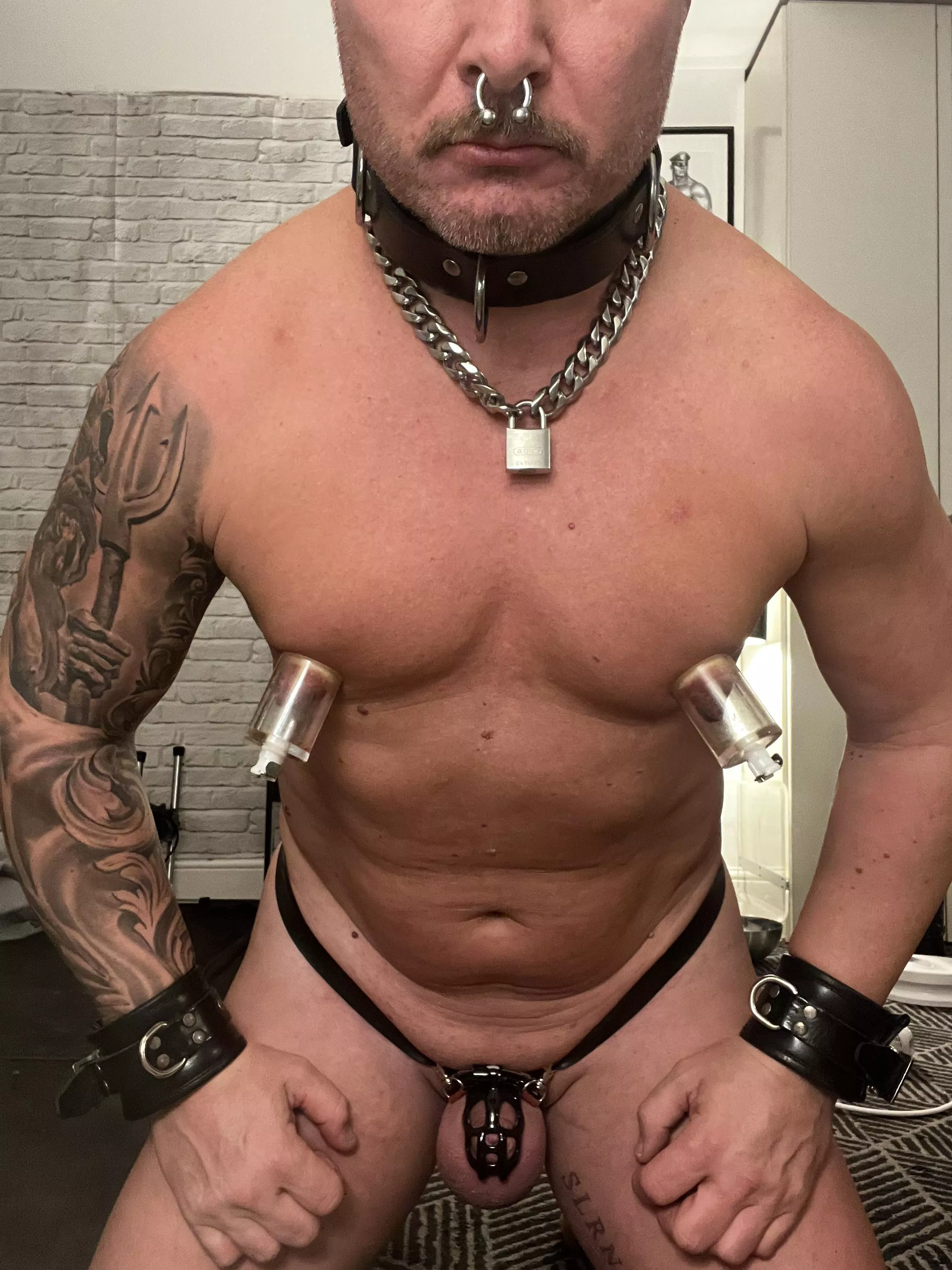 sslaves daily acts of submission: body fully shaved, scalp shaved, chain padlock visible, permanent chastity, plugged, naked indoors, septum piercing, tits pumpedâ€¦.