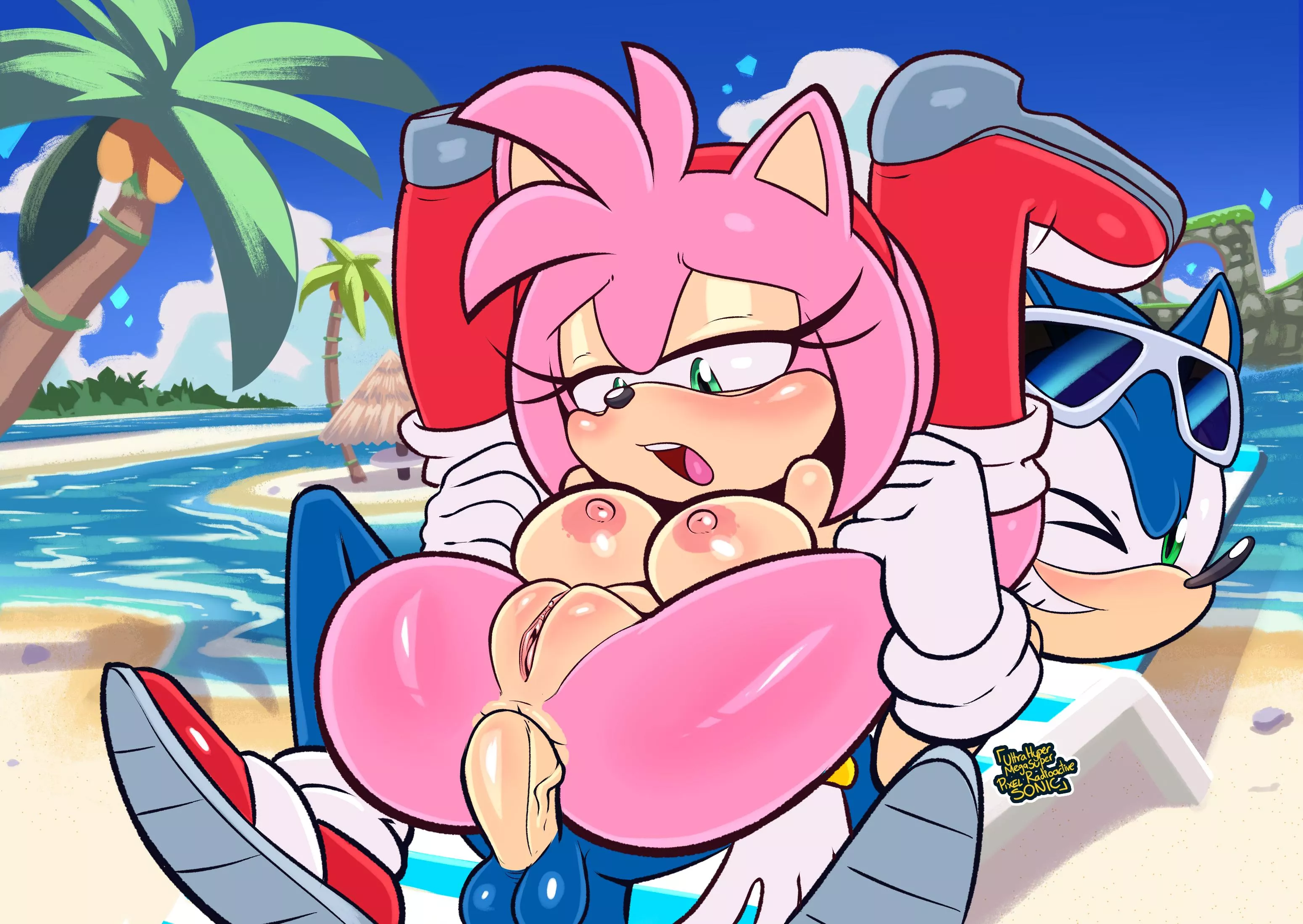 Amy Rose & Sonic (uhmsprs)