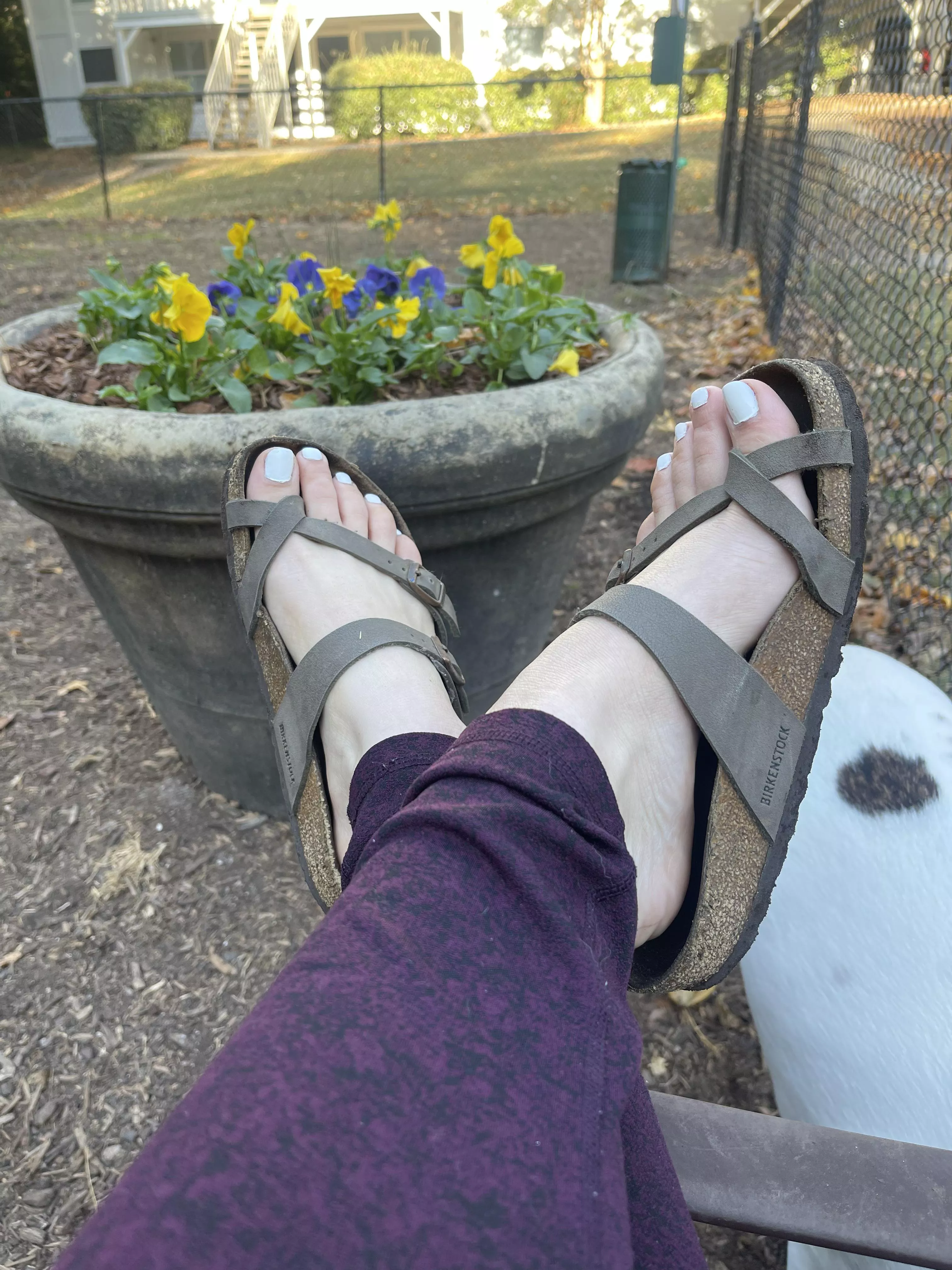 It’s time for the Birkenstocks to make an appearance on my daily dog park trip