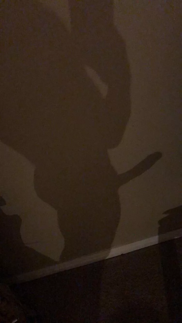 Shadow reveals all secrets