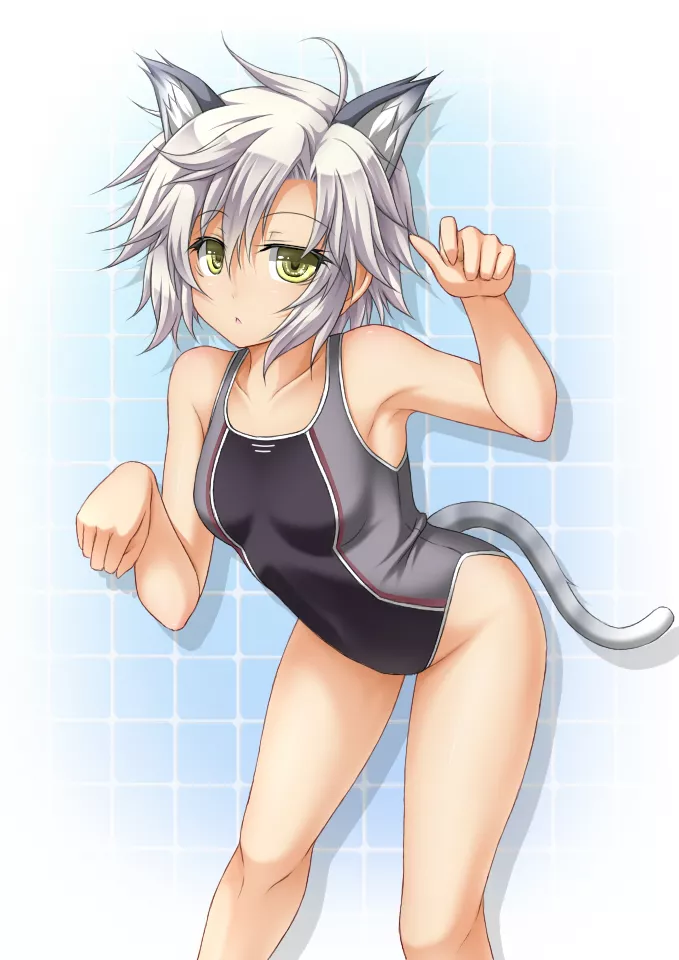 Swimsuit kitty Fie (Roura) [Trails of cold steel]