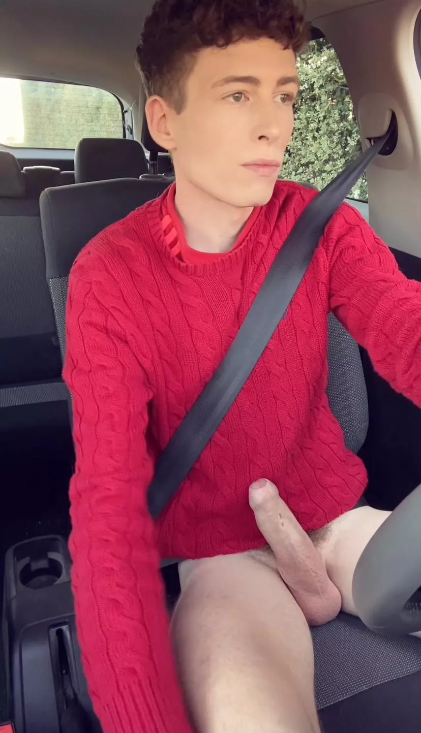 Would you suck me off while driving ?