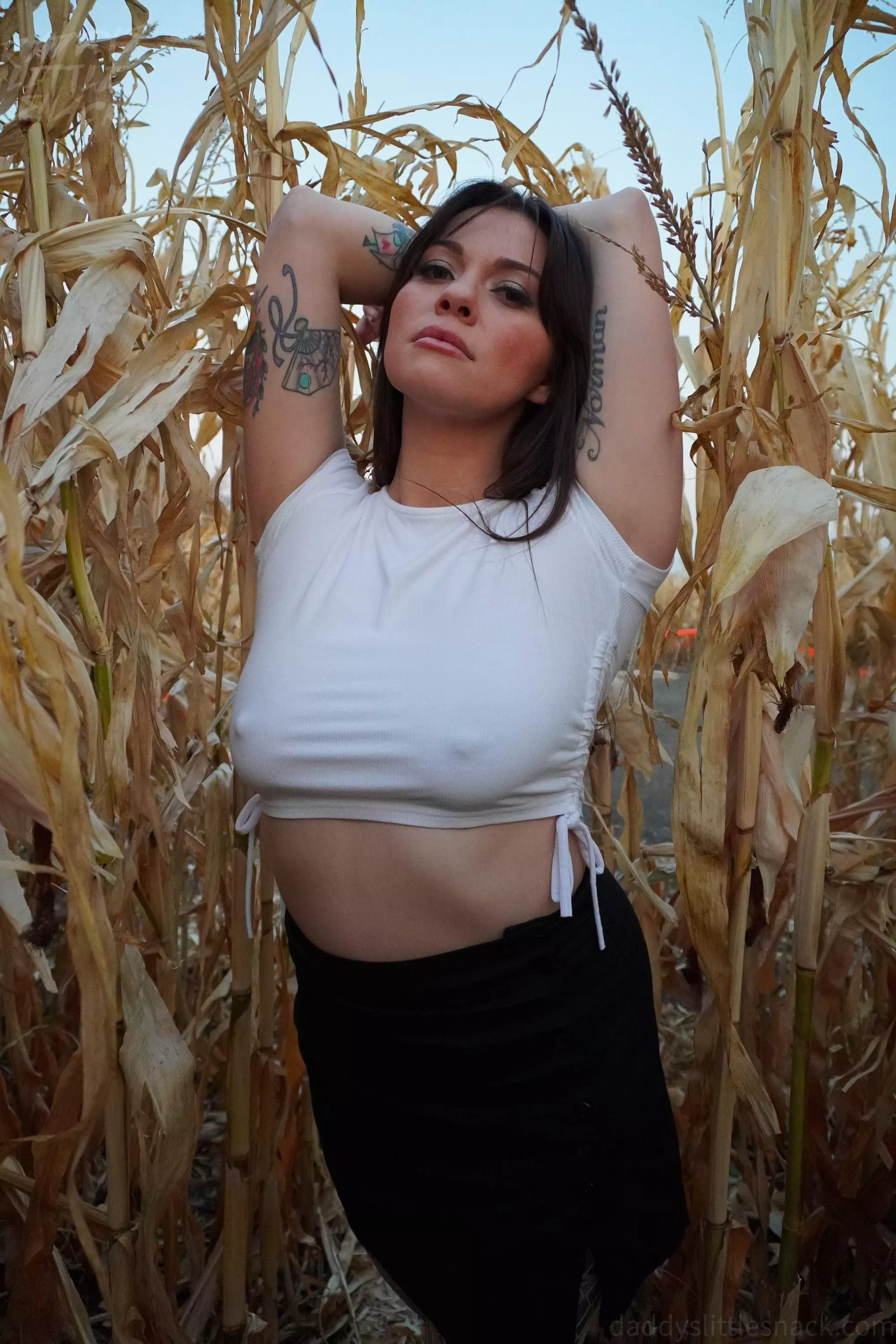 I got lost in a corn field