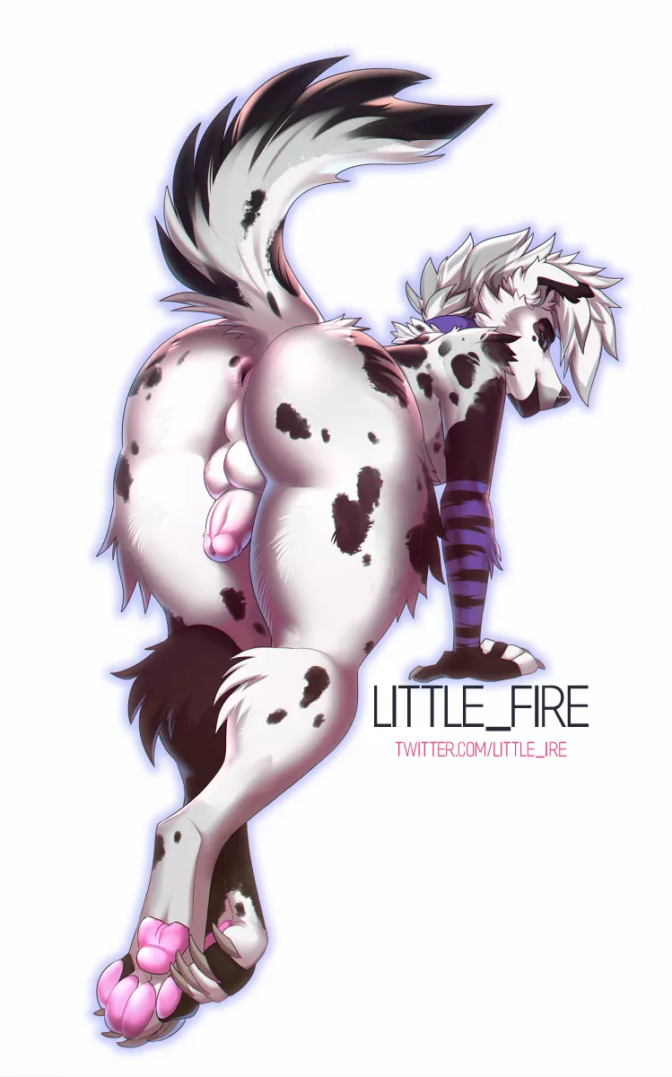 Show'em (littlefire)