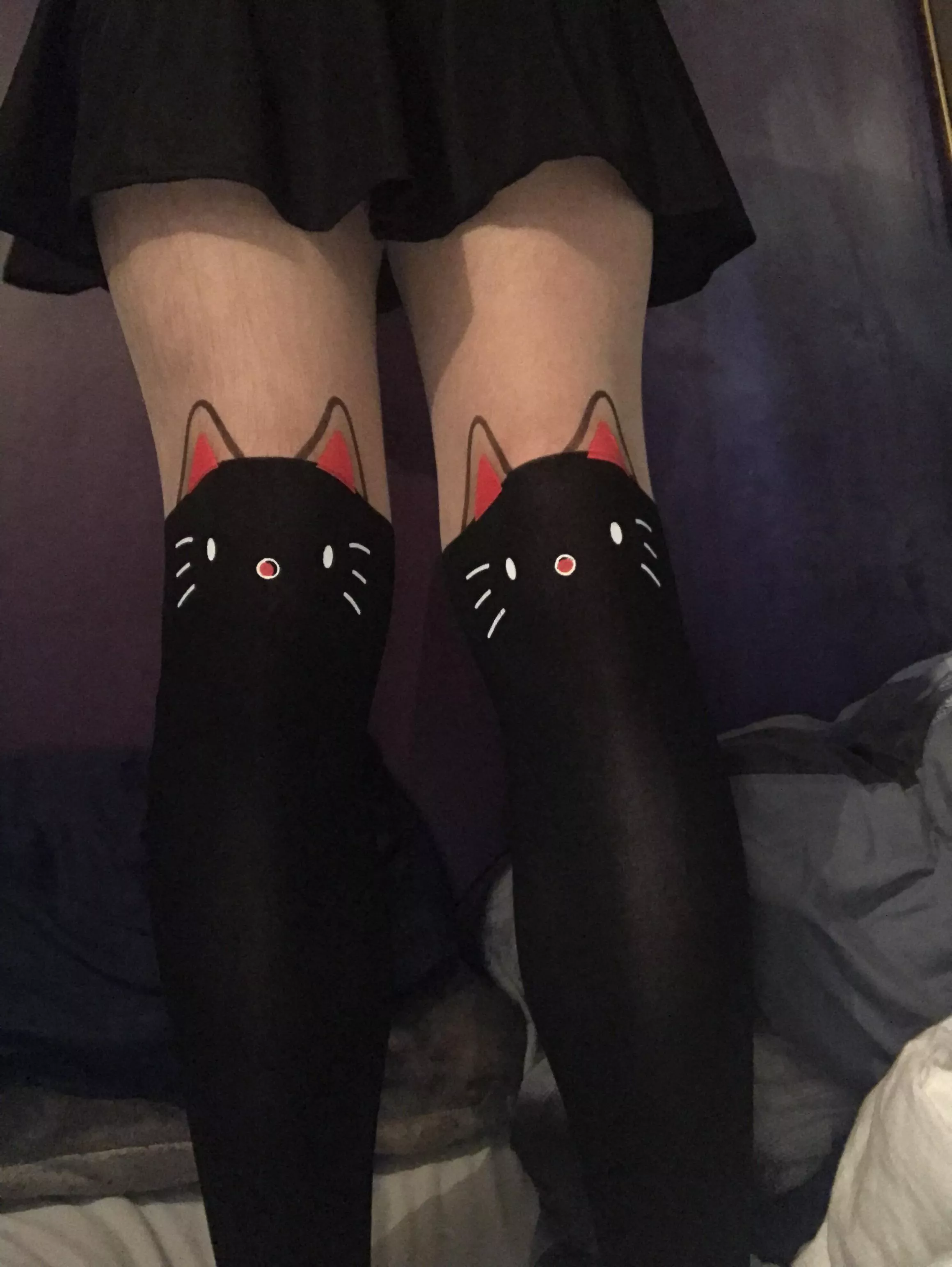 Cat thigh highs!!