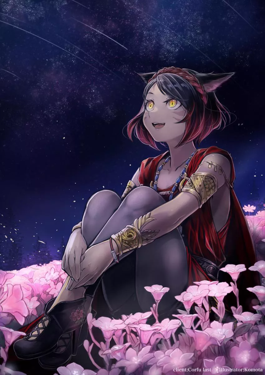 Cute miqote looking at the night sky (Final Fantasy)