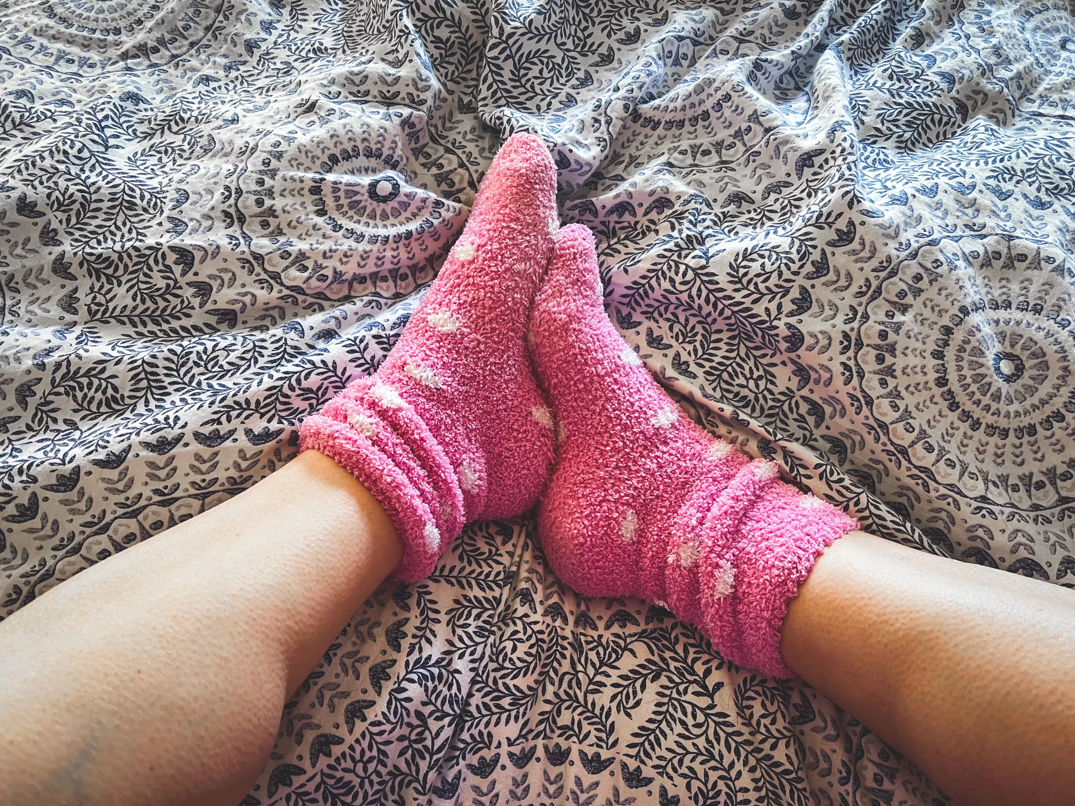 Freeze warnings all week called for some cozy and fuzzy #funsockfriday