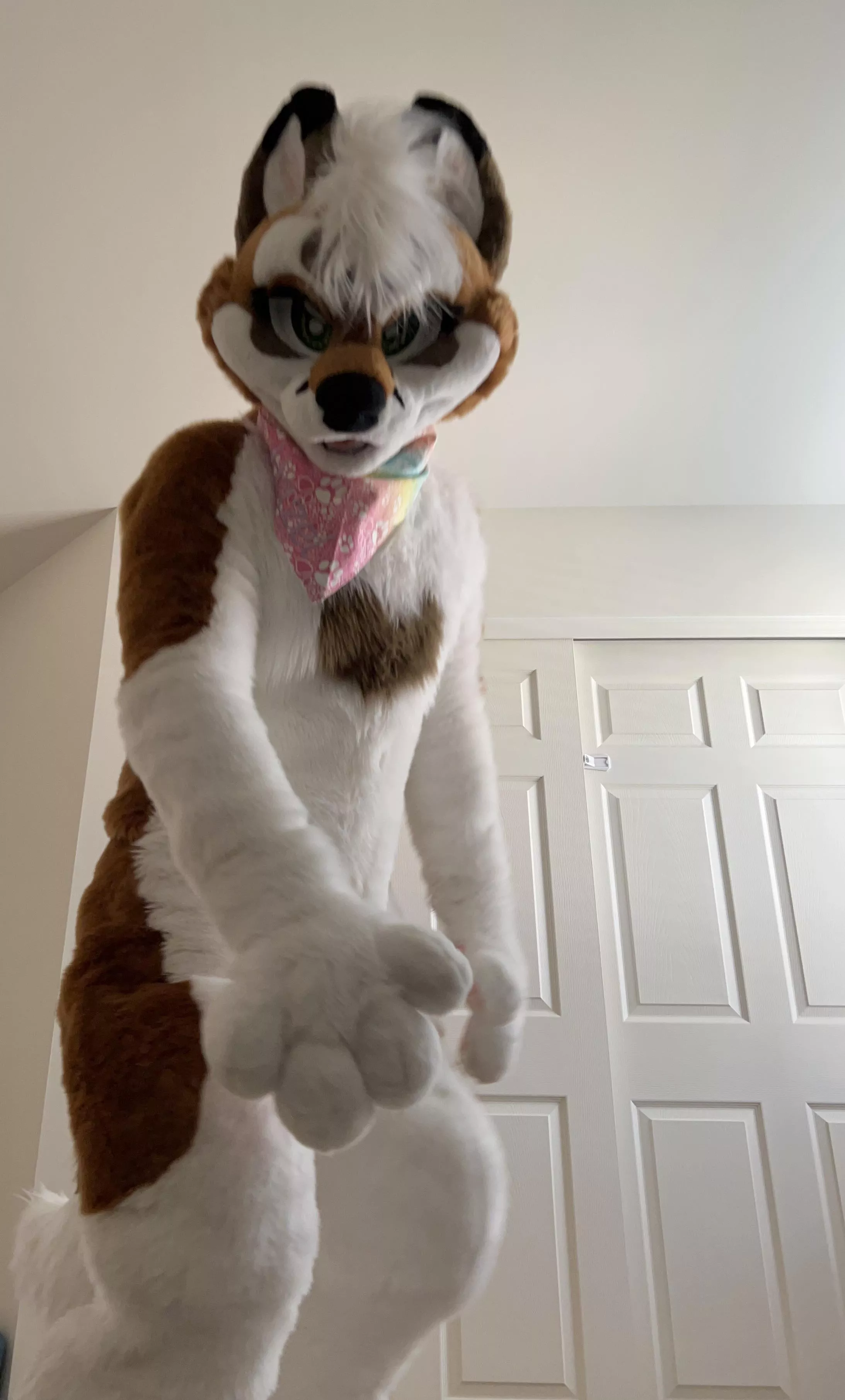 Fursuit Friday