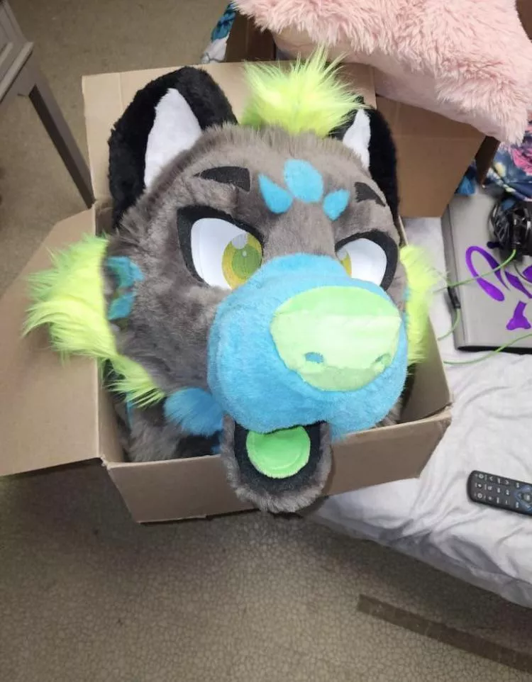 My first (non self built) fursuit is on the way! Estimated arrival by Tuesday! So excited! Sheâ€™s a hyena if you couldnâ€™t tell. Expect fursuiting pics soon!