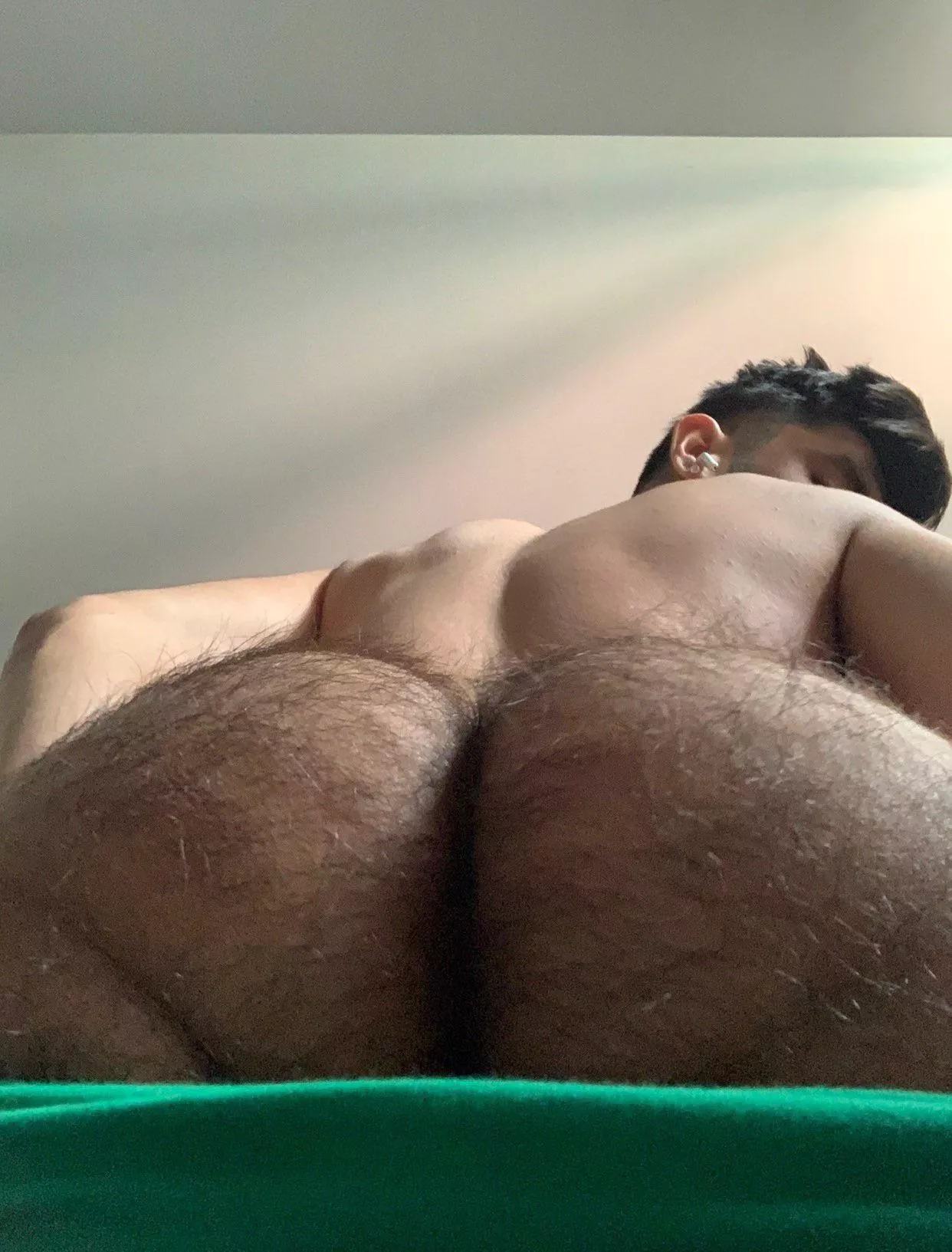 Please breed my hairy hole