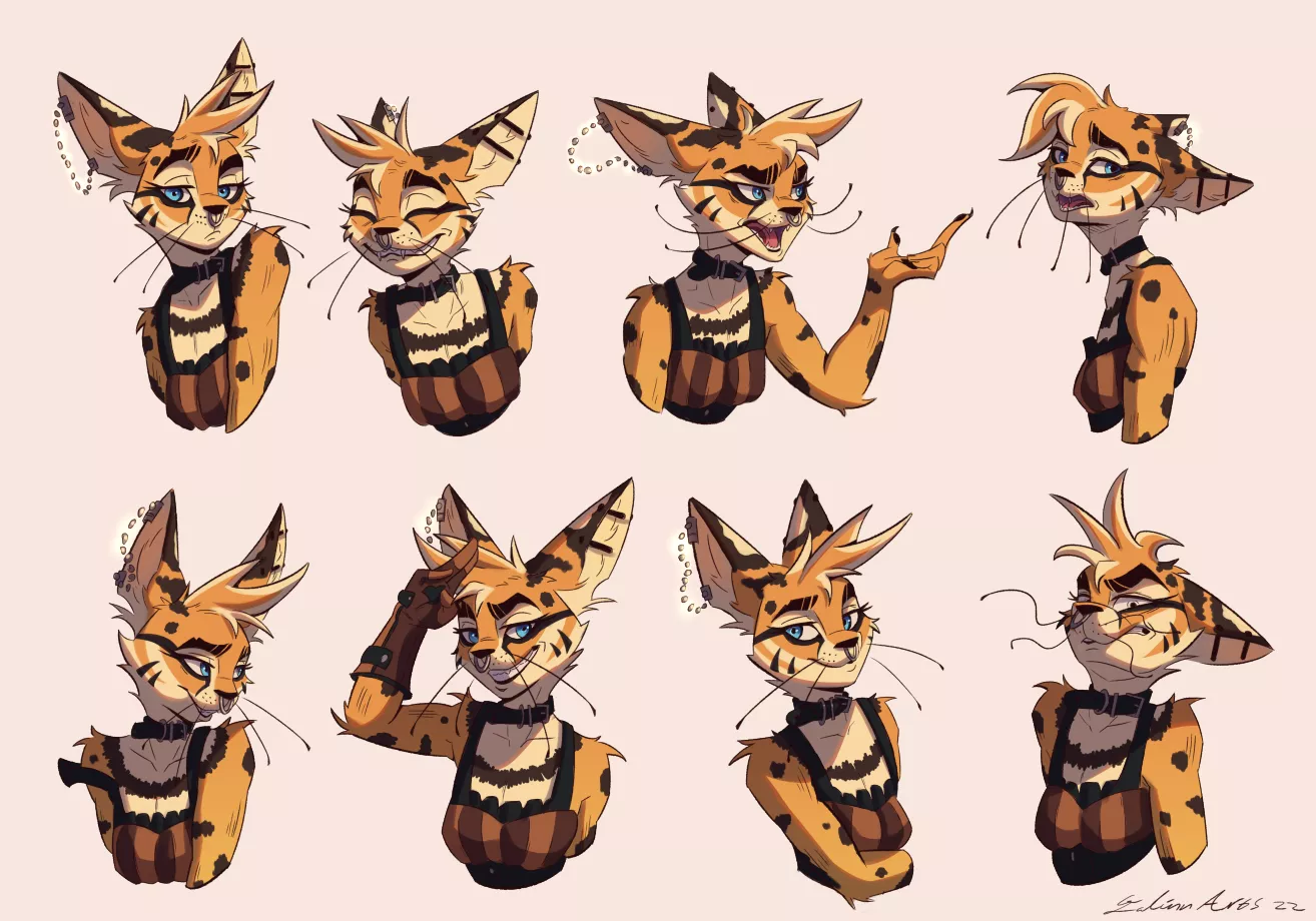 Some expressions of my new character :) ~ Art by me 🍪(@ArtsGalinn on Twitter)