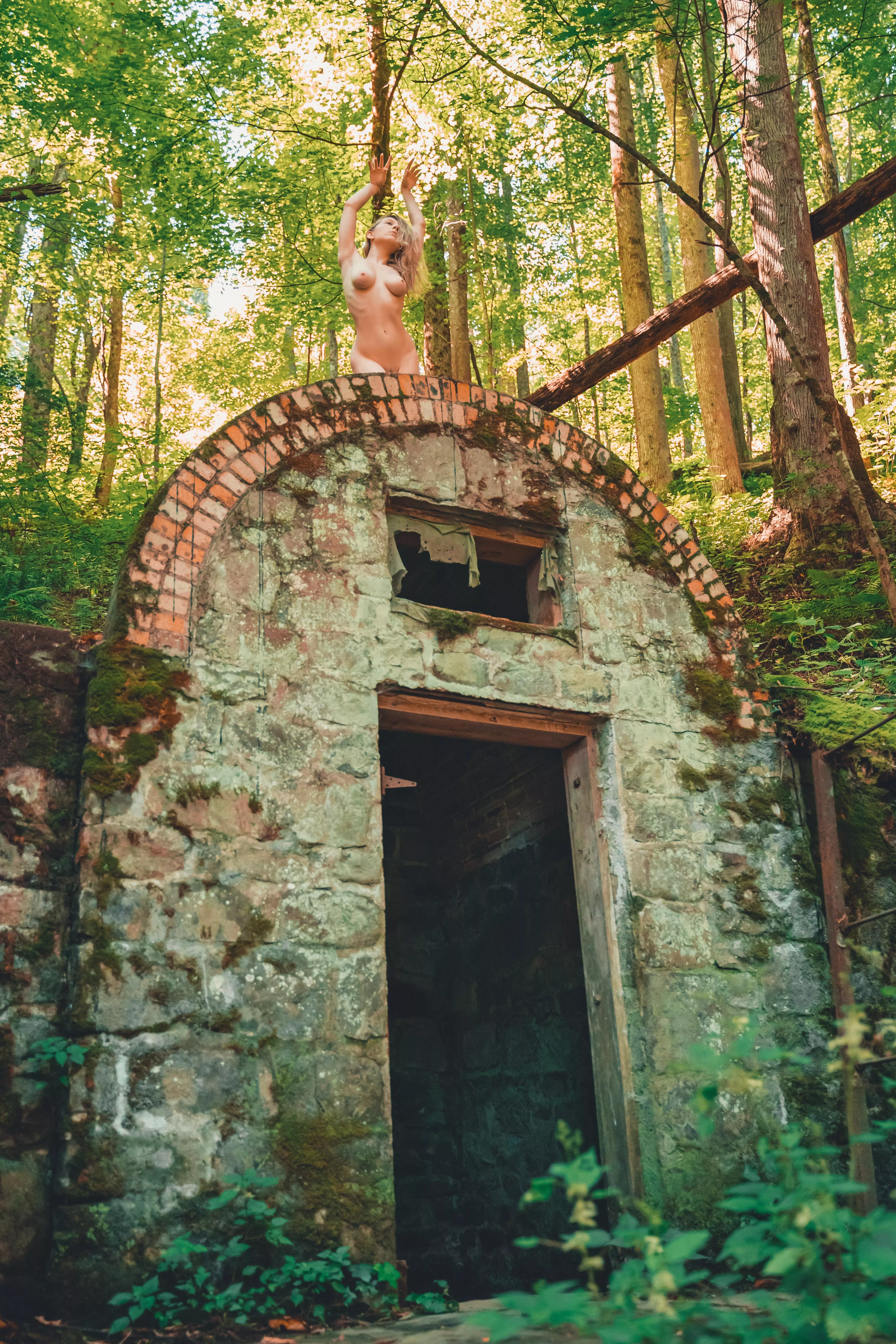 A little house in the woods