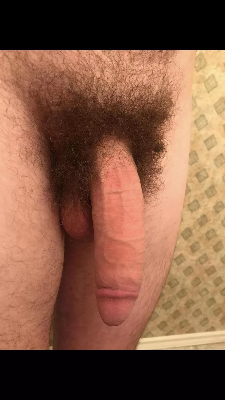 Plenty of pubes