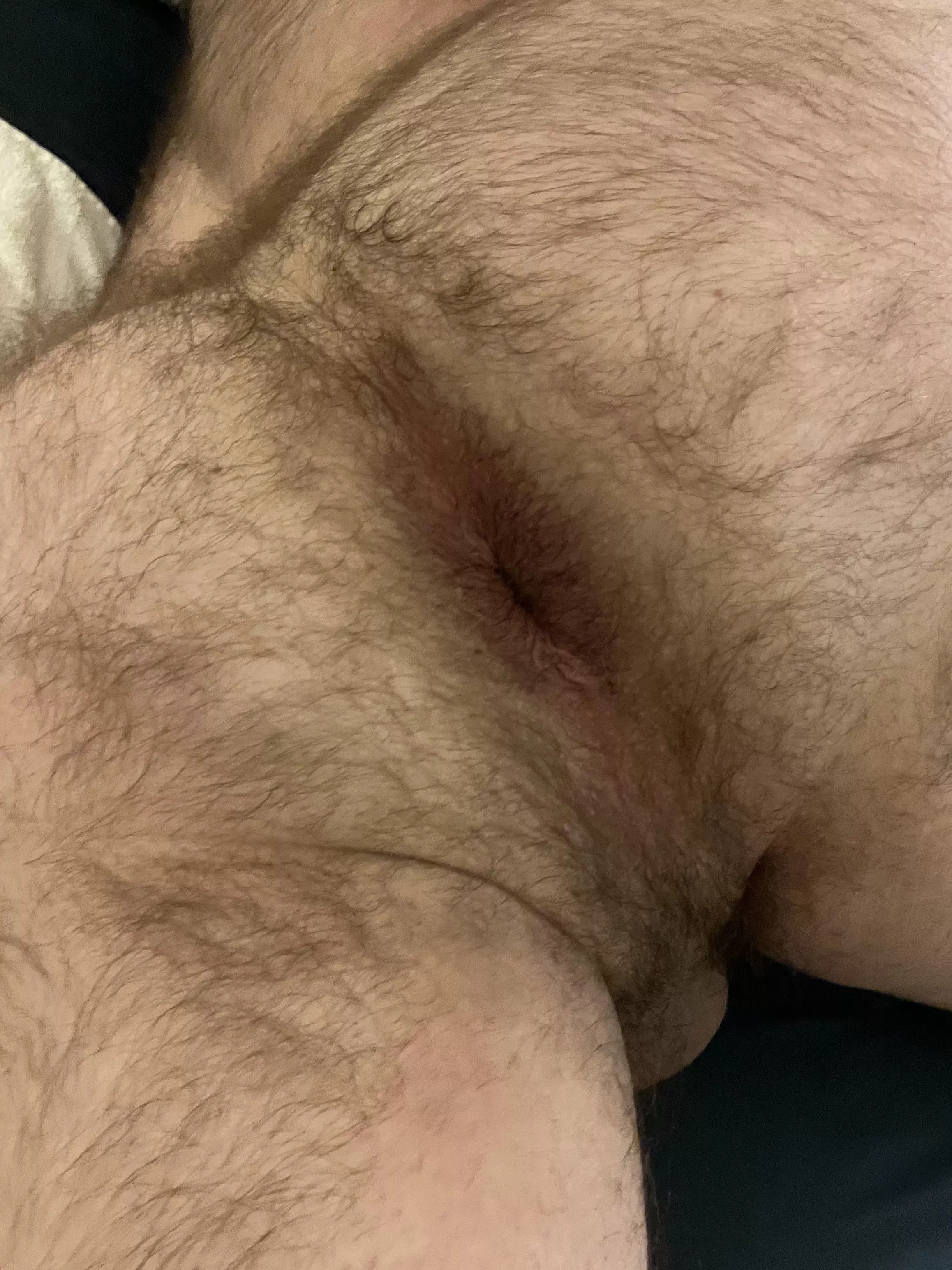 Someone come eat this ass or shove their cock in deep