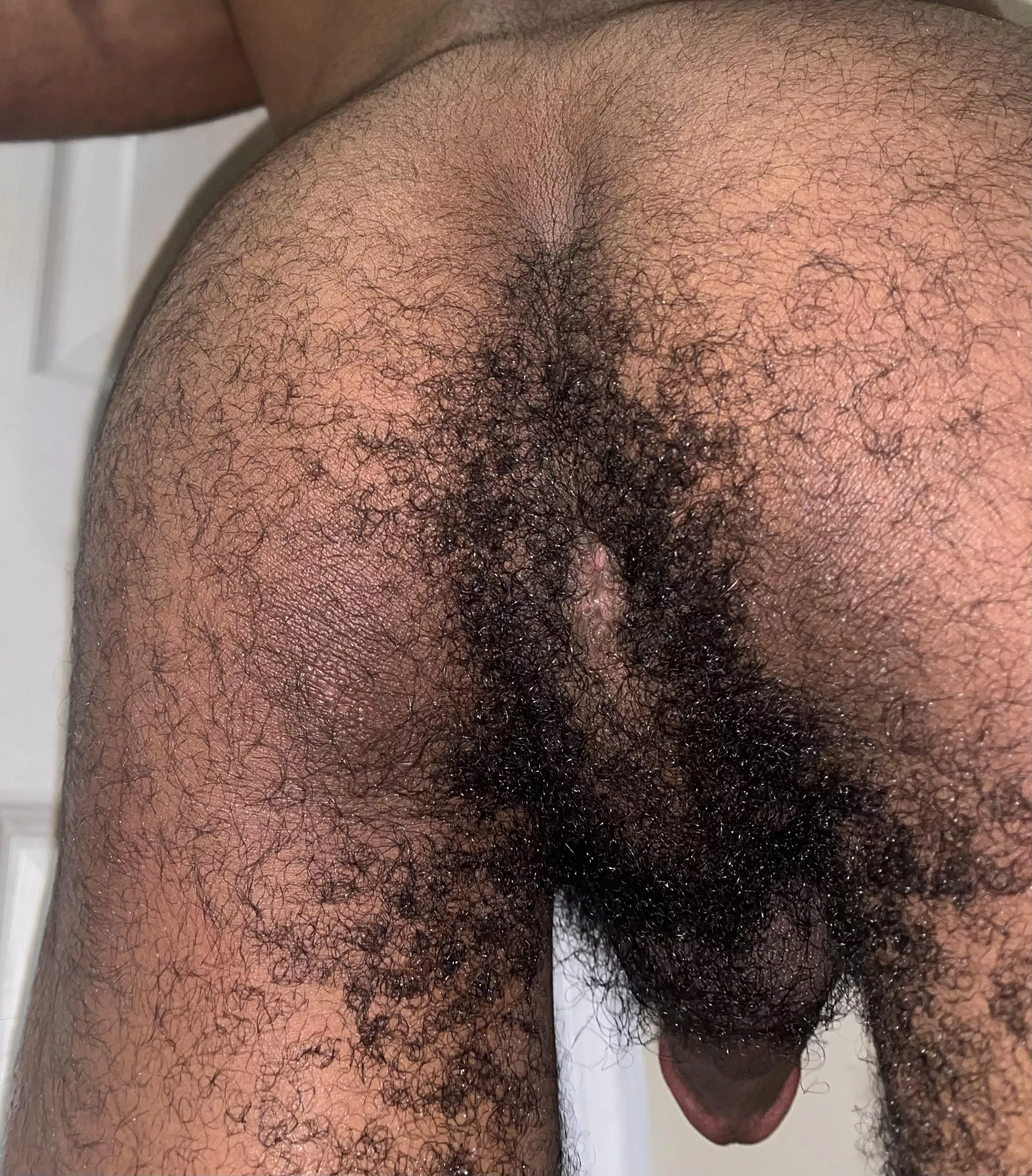 Want my hairy, virgin ass fucked