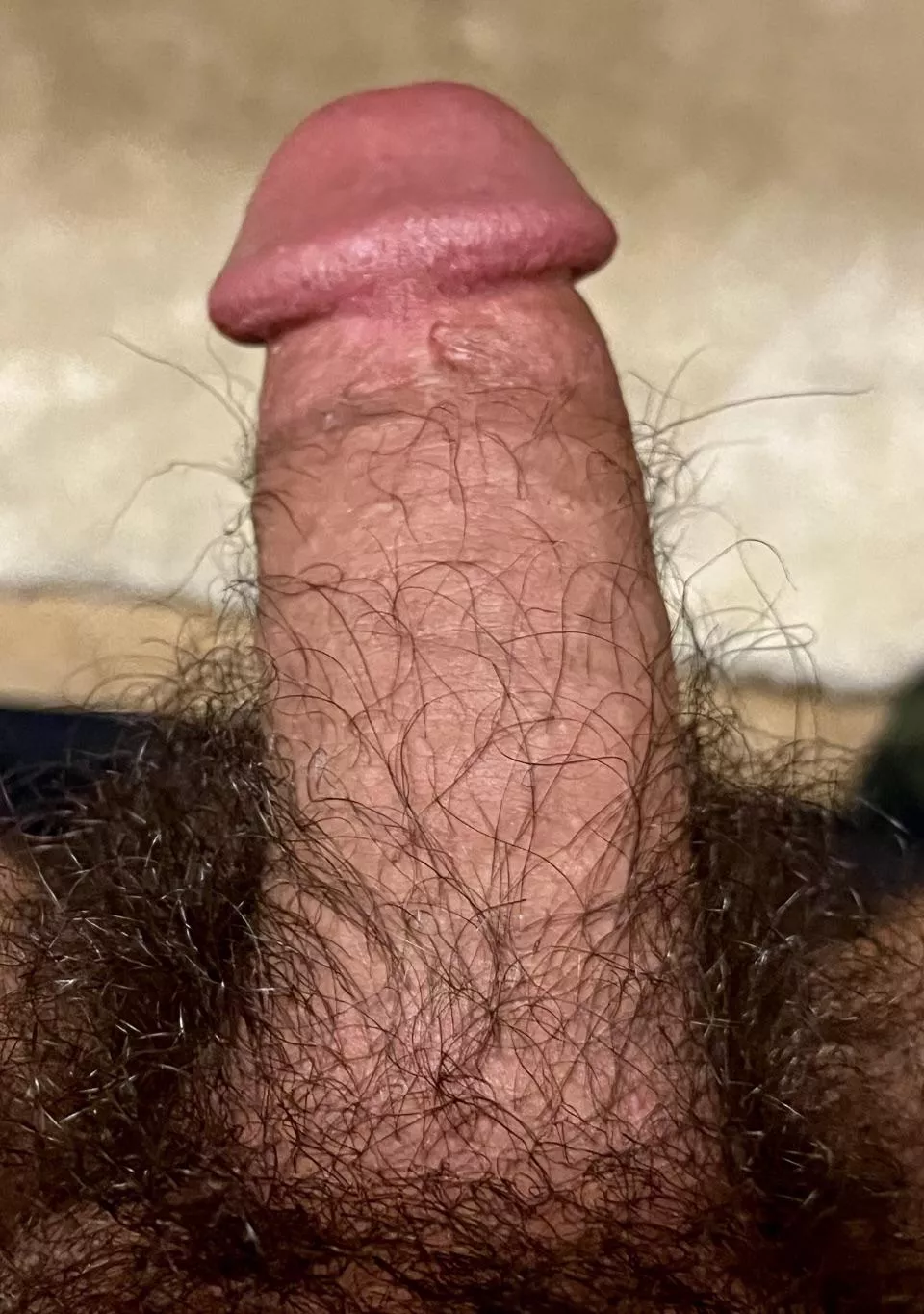 Can hairy cock be trendy ?