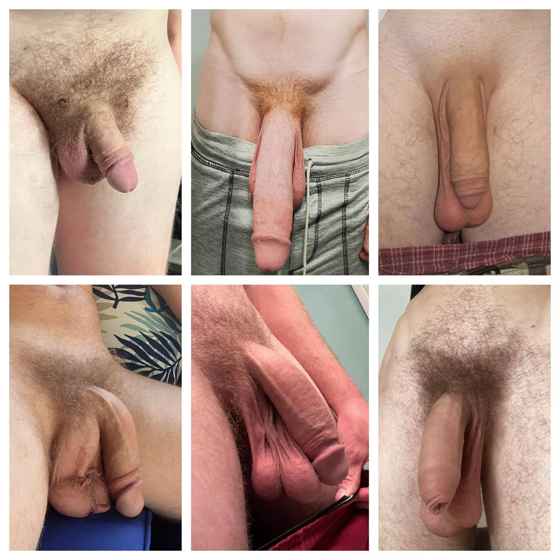 How would you rank these soft dicks?