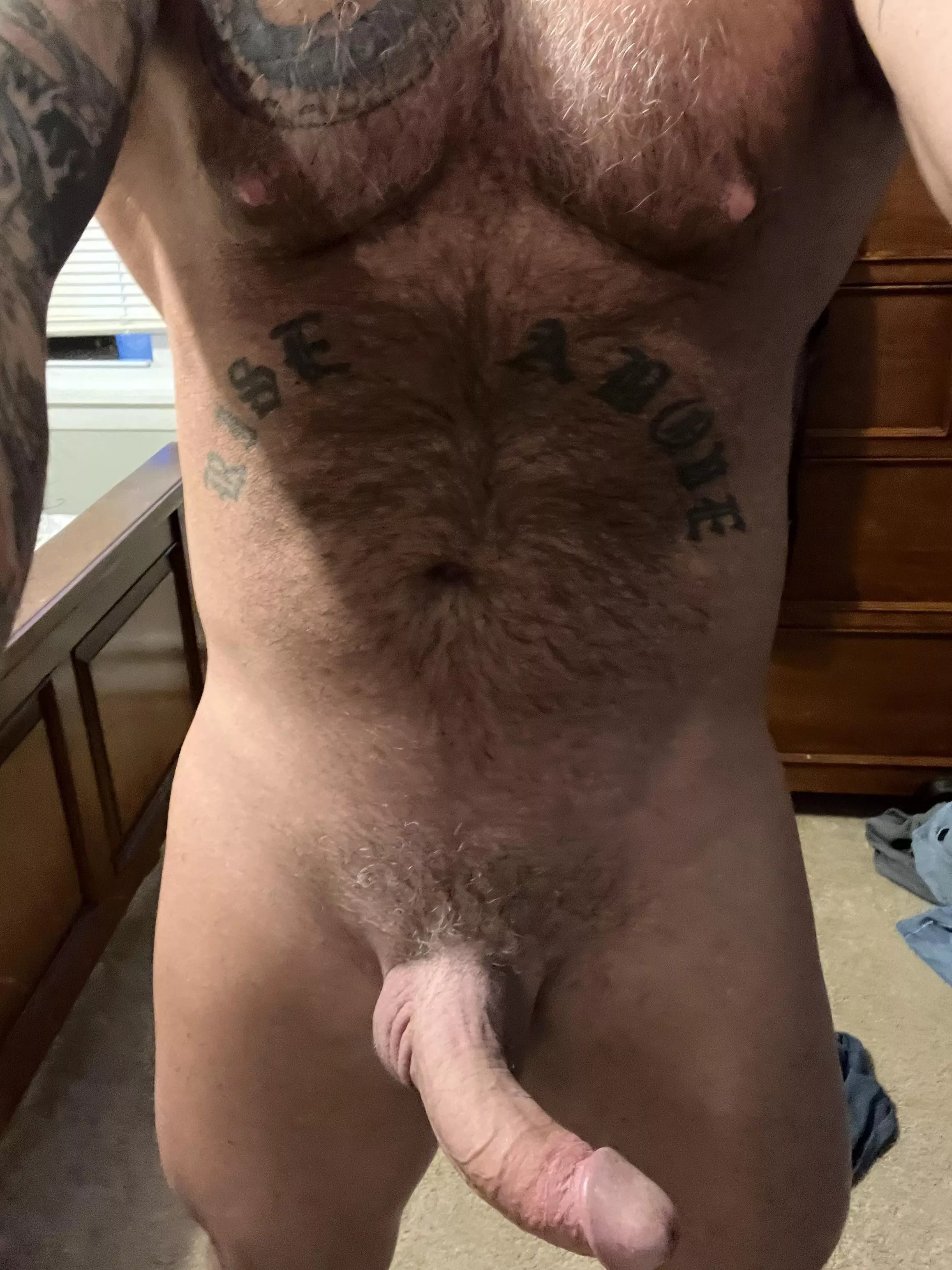 Maine Bull Dad [48]